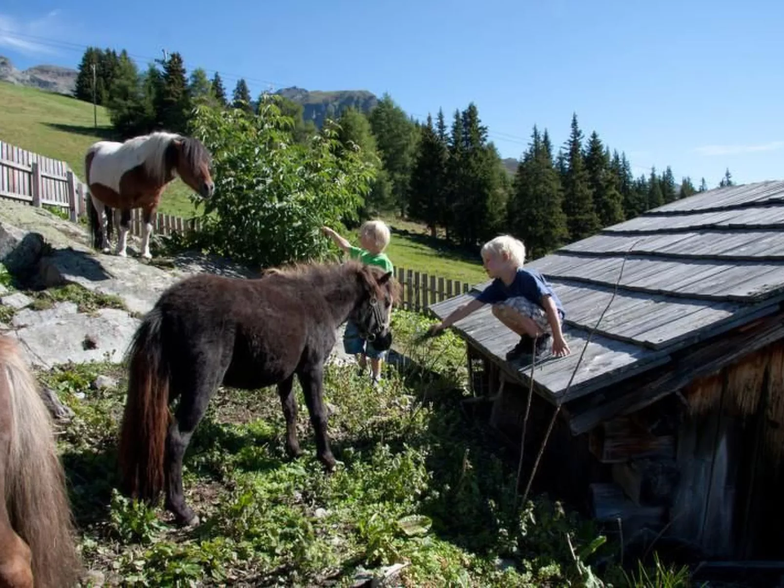 App. Adlerhorst 402-Dehors