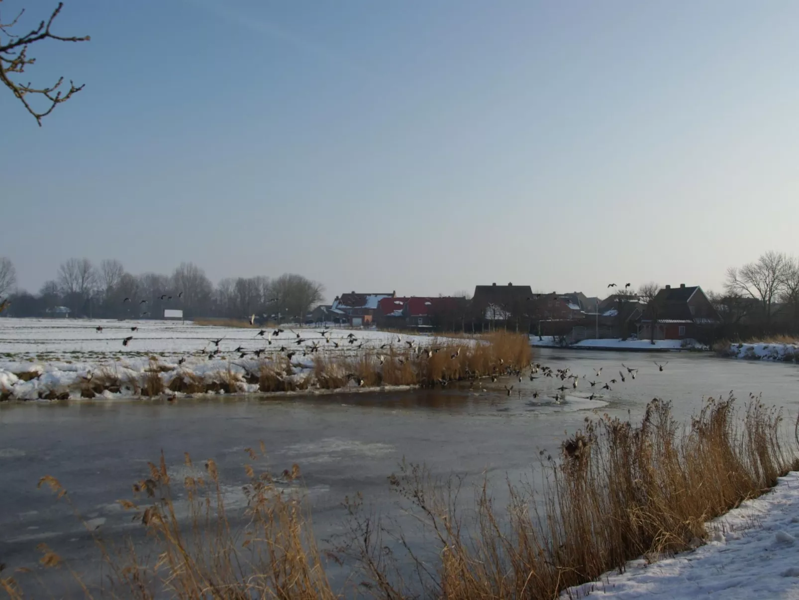 Lara's Olle Warft-Dehors