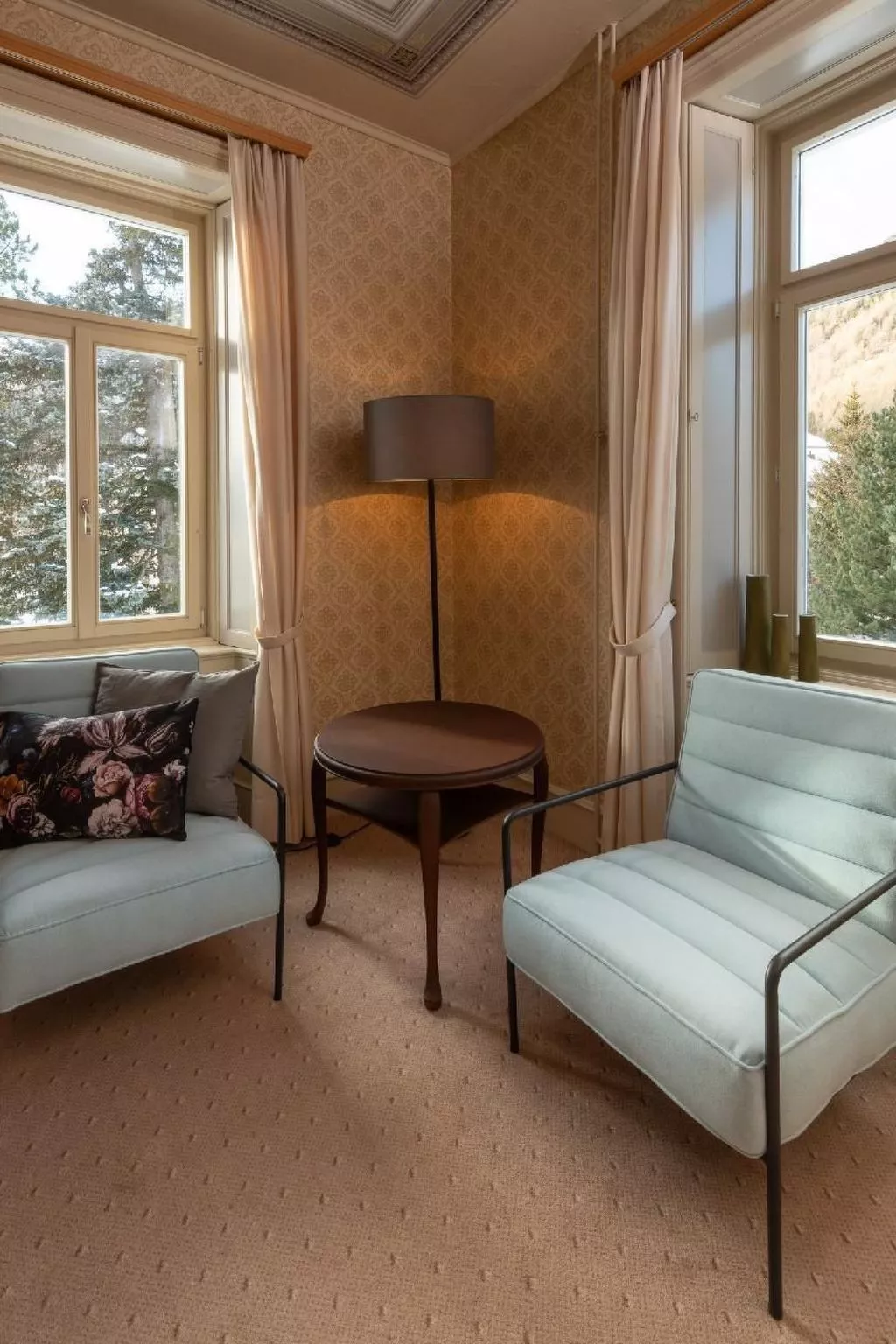 Villa Fried, Cultura-Image-tags.info