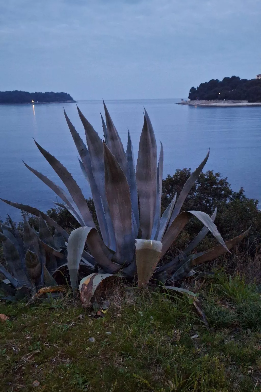 Geräumige charmante Wohnung in der Nähe des Meeres-Dehors