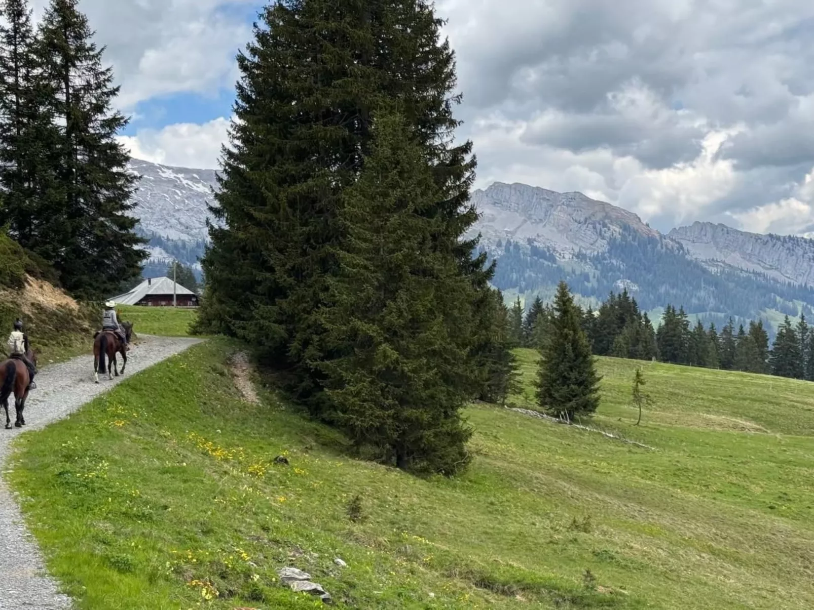 Moderne Ferienwohnung ROTHORN mit 2 Schlafzimmer-Outside