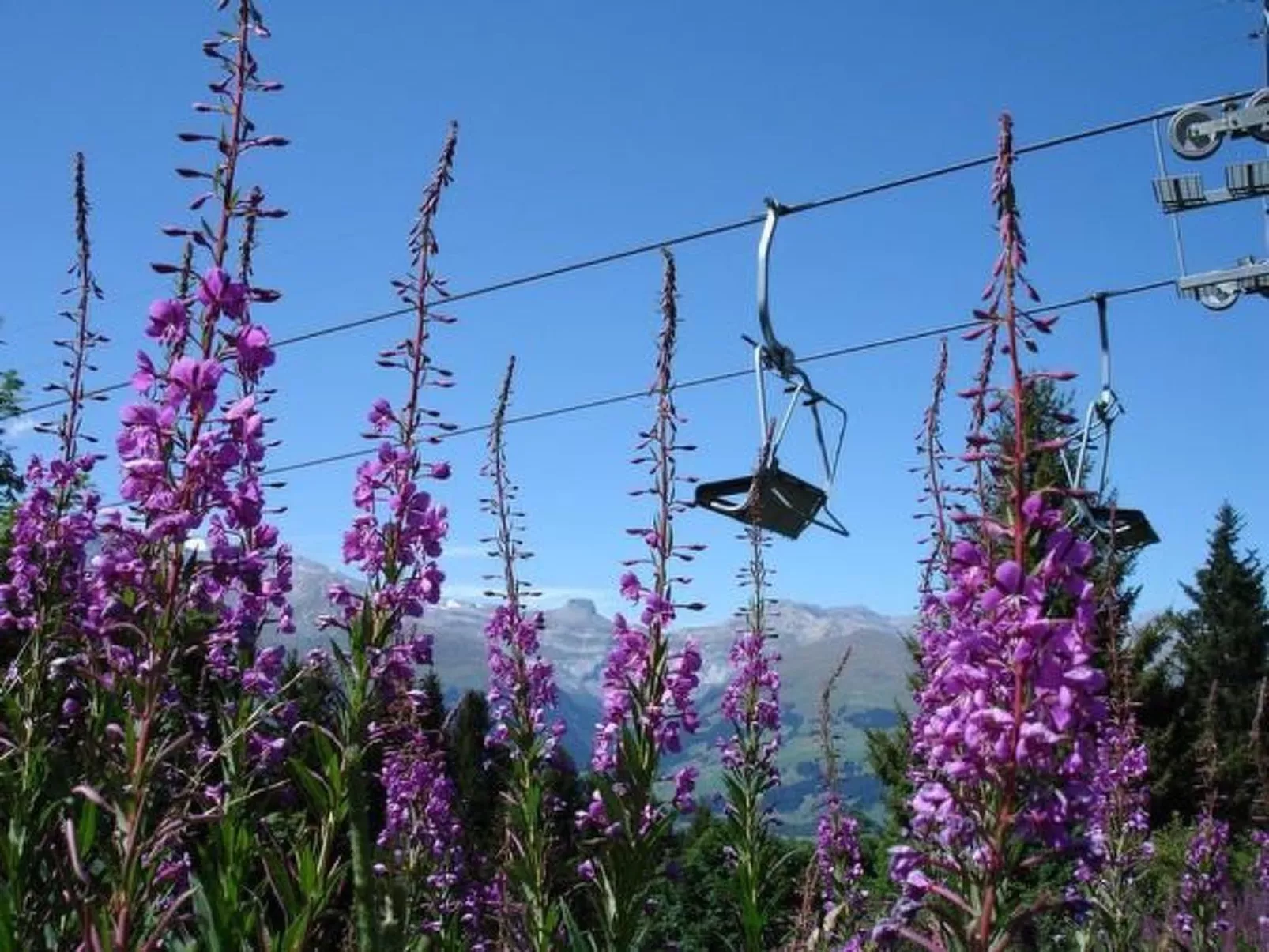 Aparthaus Surselva, direkt an der Skipiste-Dehors