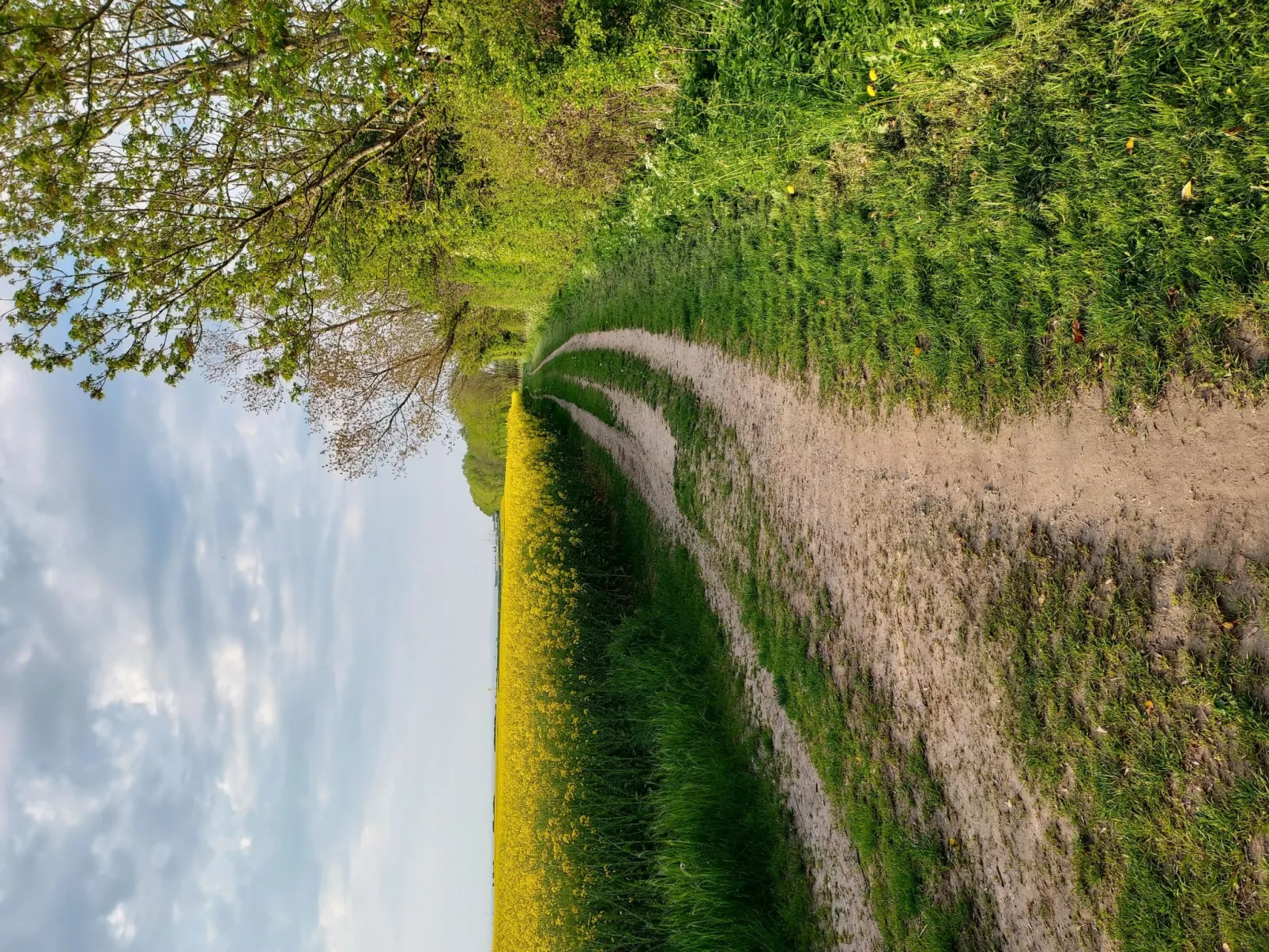 Das Meerchenhaus-Dehors