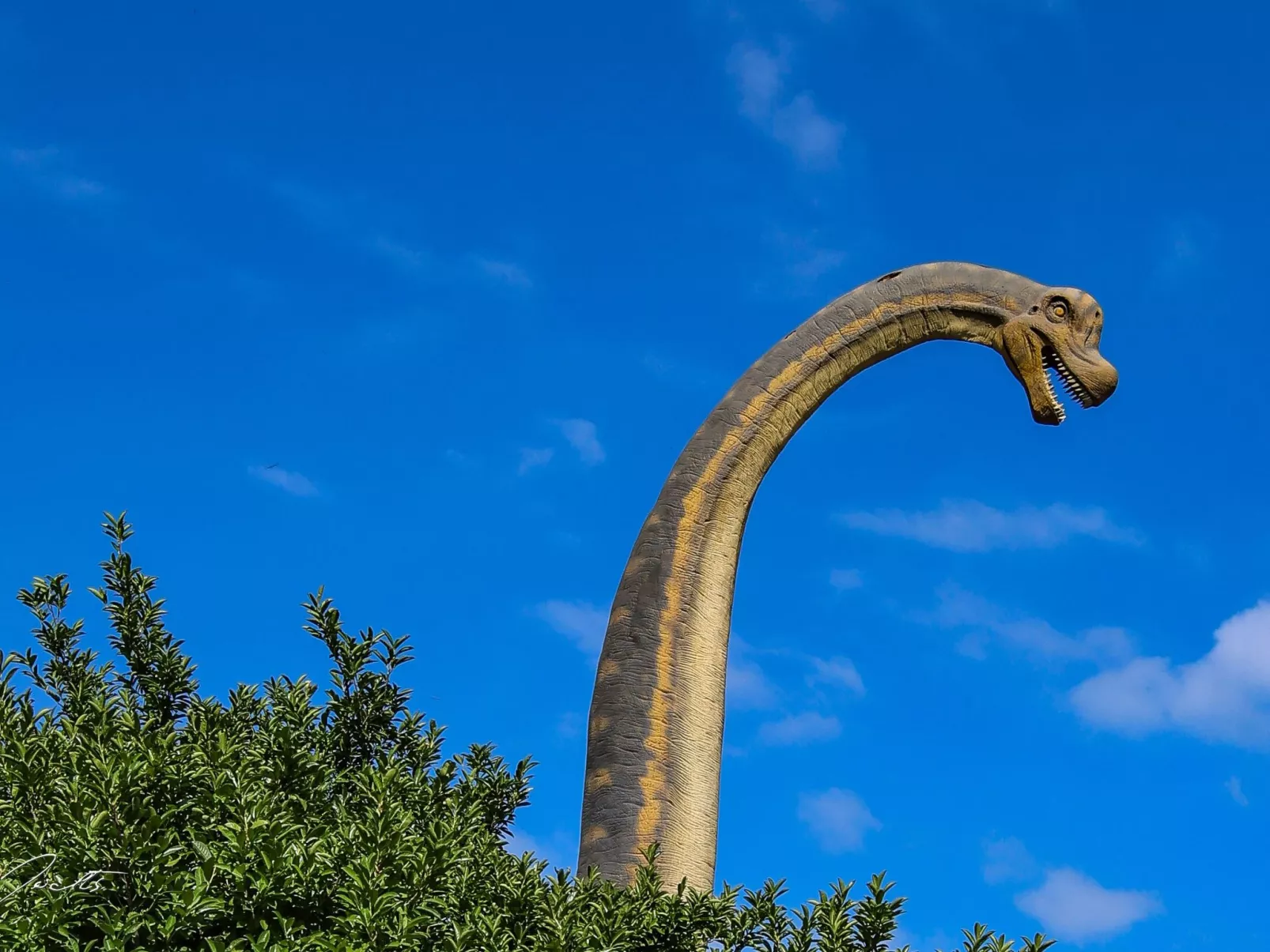 Villa Linet 5.-Draußen