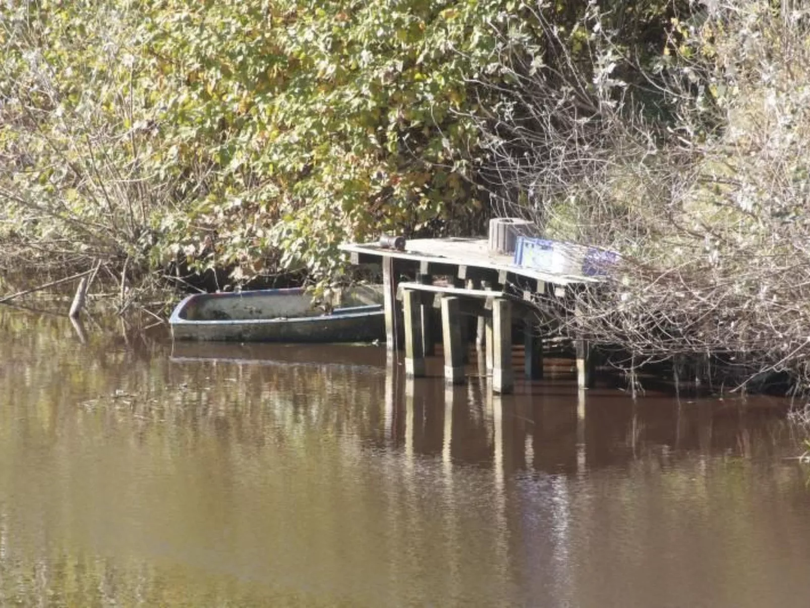 Lammert-Image-tags.info