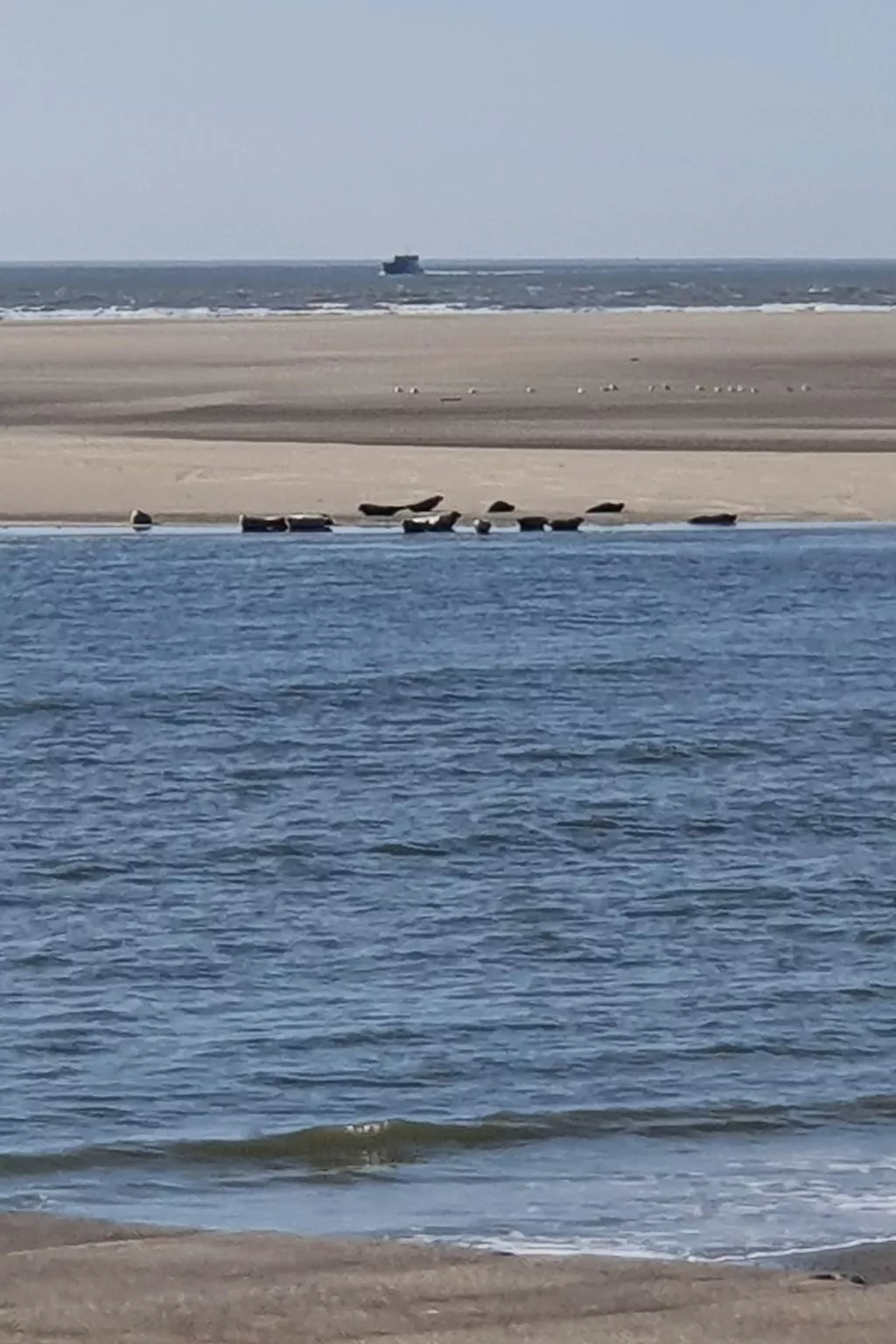 Apartment mit Terrasse am Südstrand-Outside