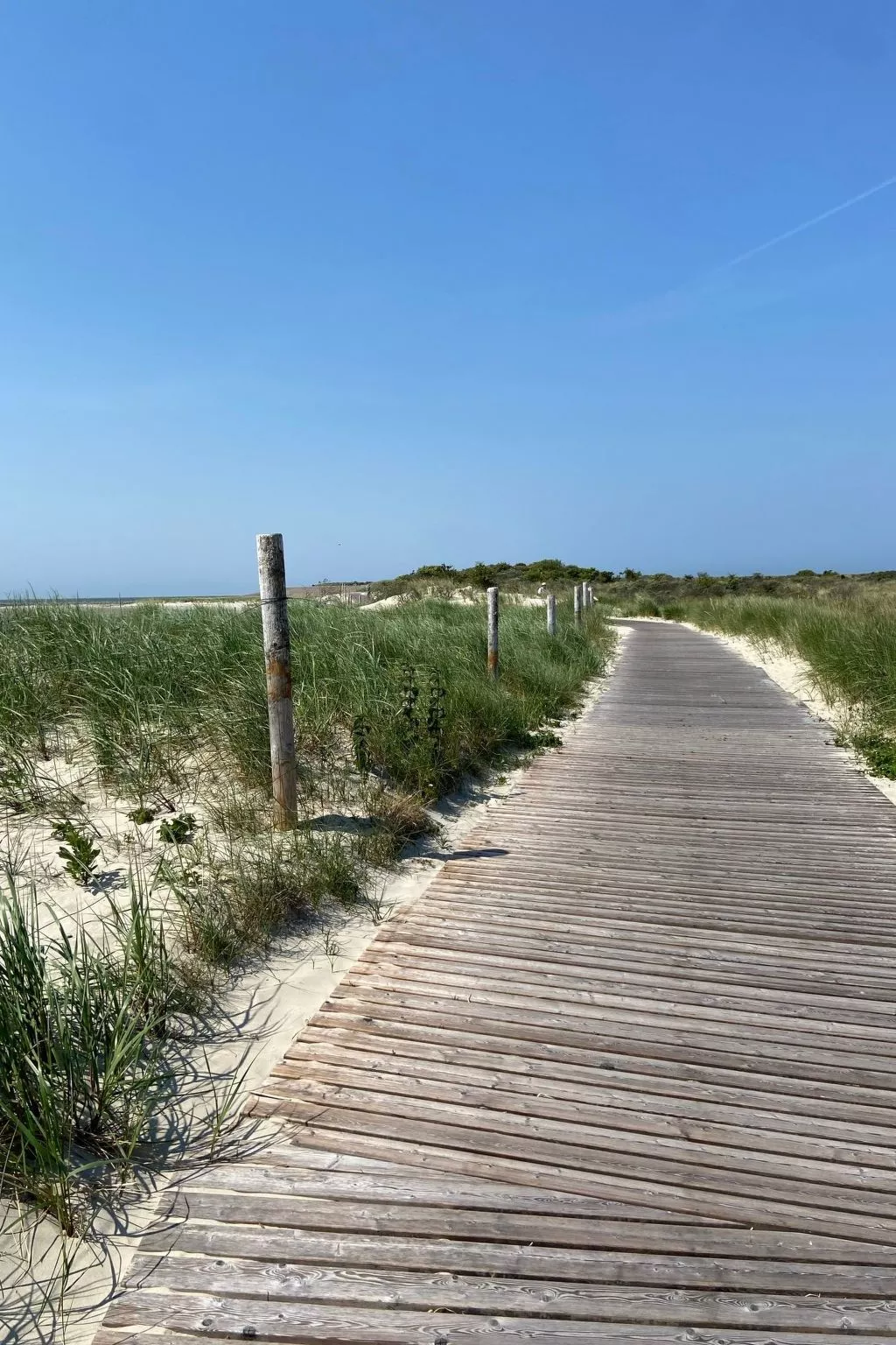 Süddünenidylle-Dehors