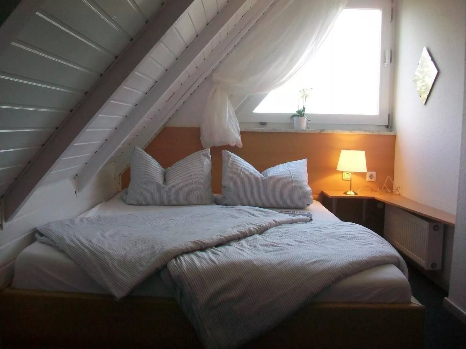 In Lüttfeld mit Großem Garten-Dedans