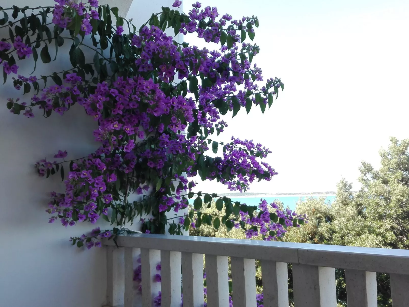 "Mia" mit Blick auf das Wasser-Draußen