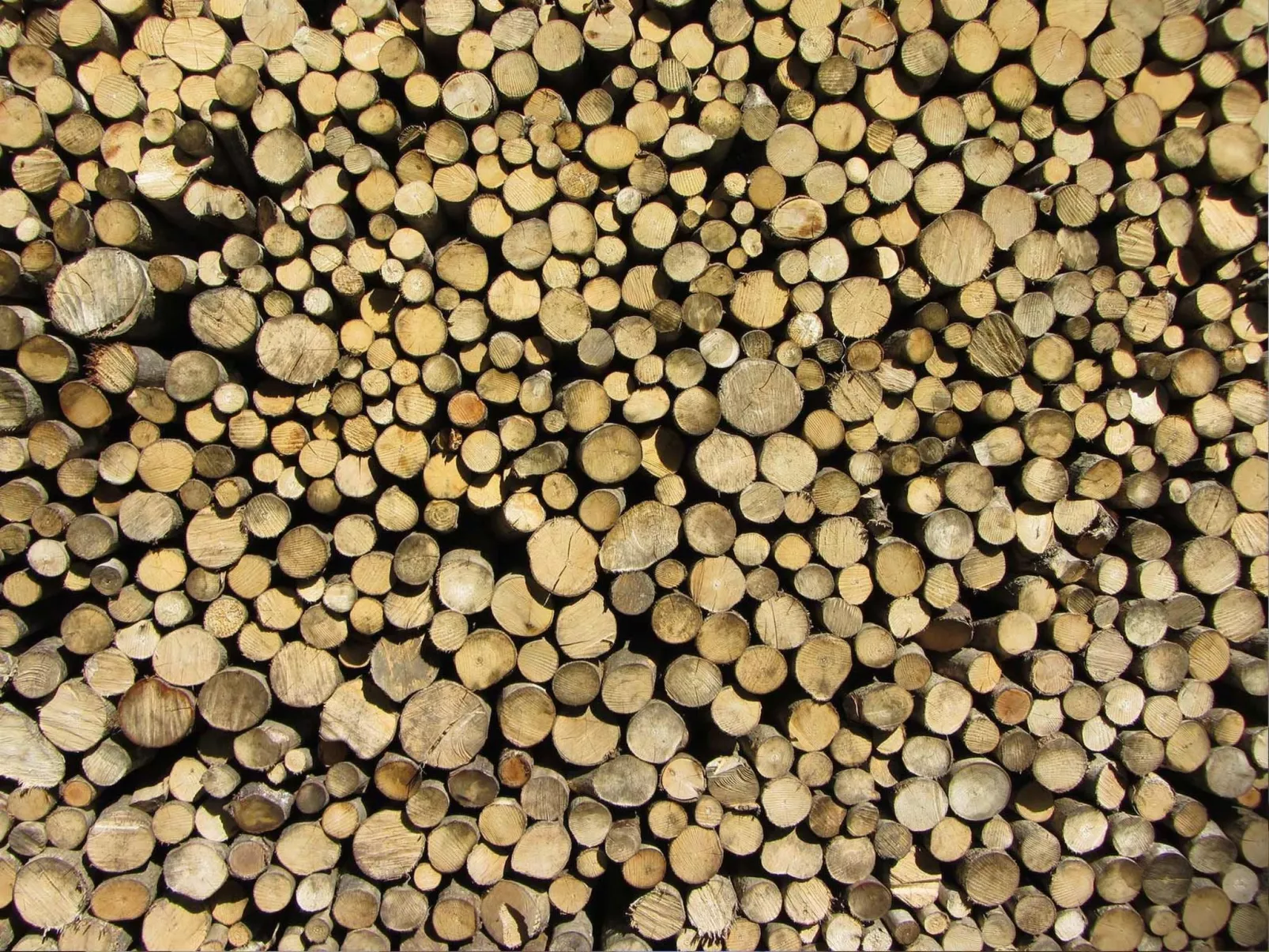 Geräumiges Ferienhaus inmitten der Natur-Image-tags.info