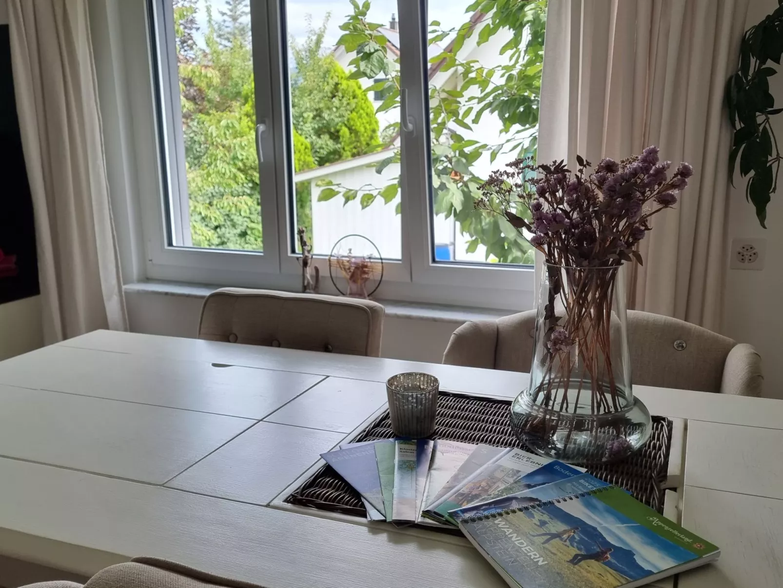 Wohnung im Rheintal-Dedans