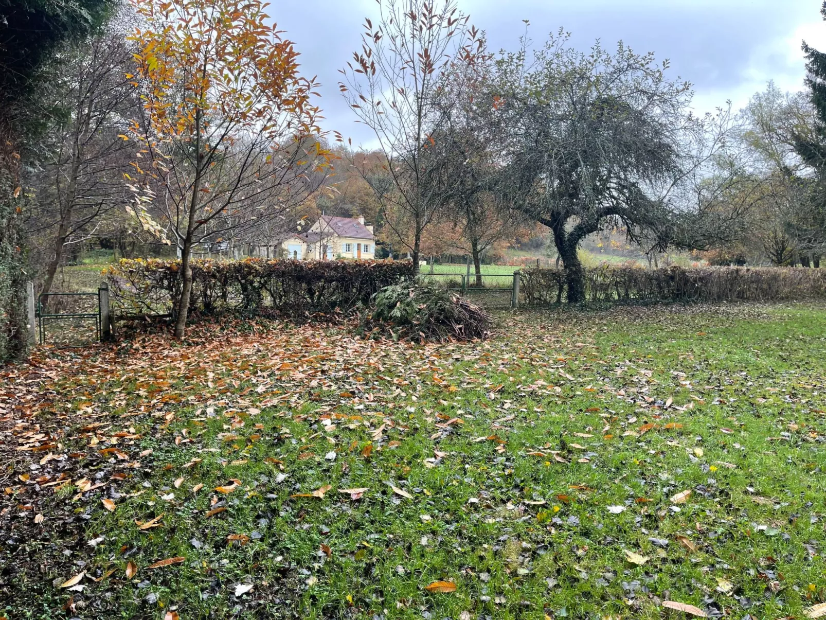 Für 6 Pers. mit eigenem Teich-Dehors