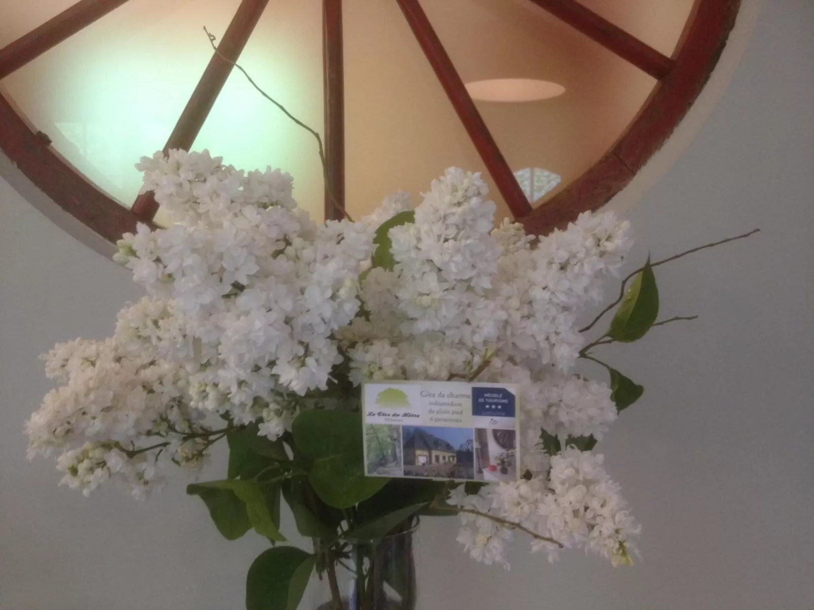 Le Clos du Hêtre-Dehors