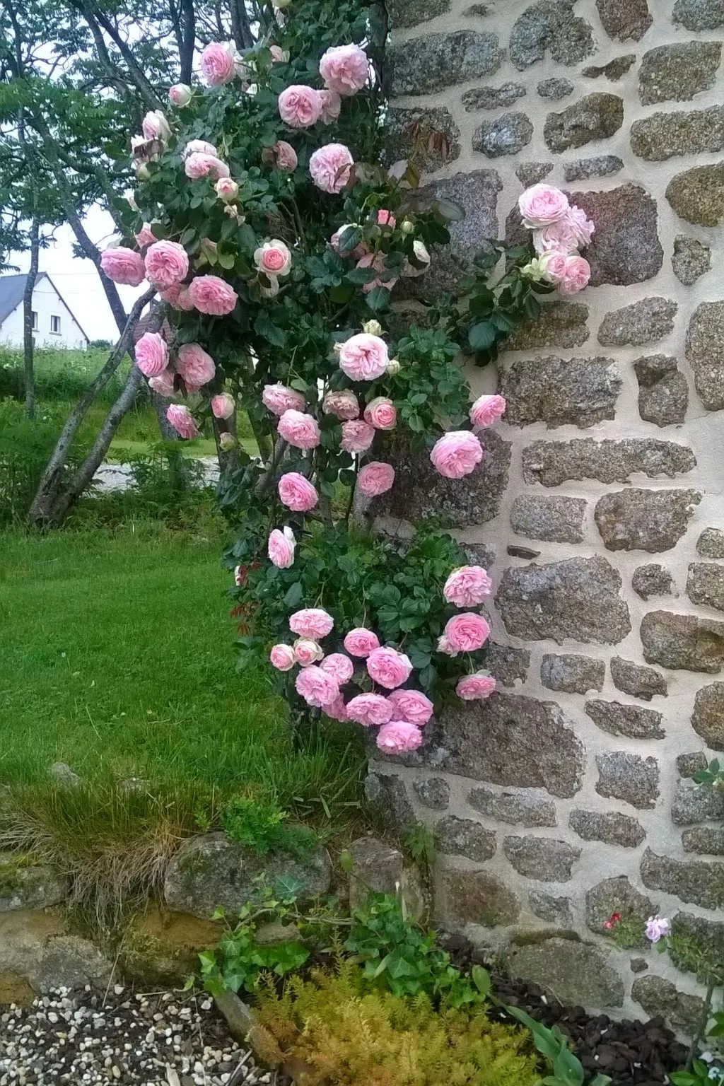 Finca "Motje" mit Aussicht-Draußen