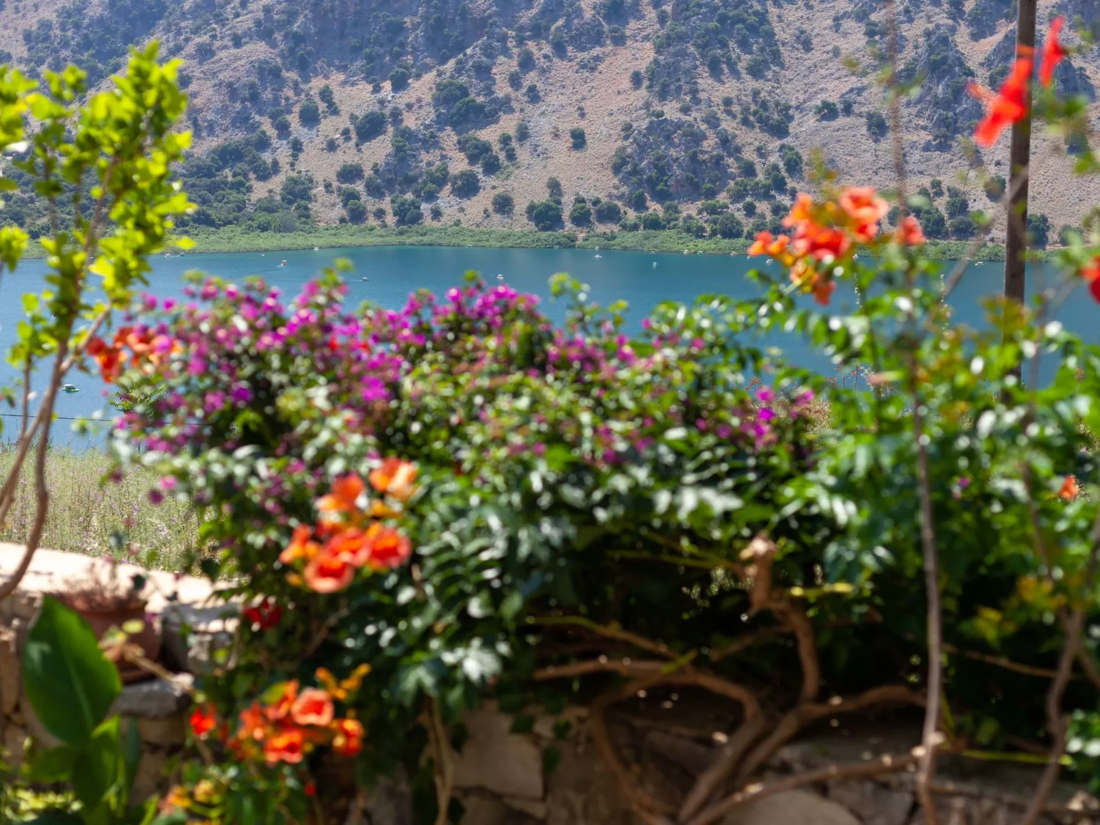 Ein irdisches Paradies-Outside