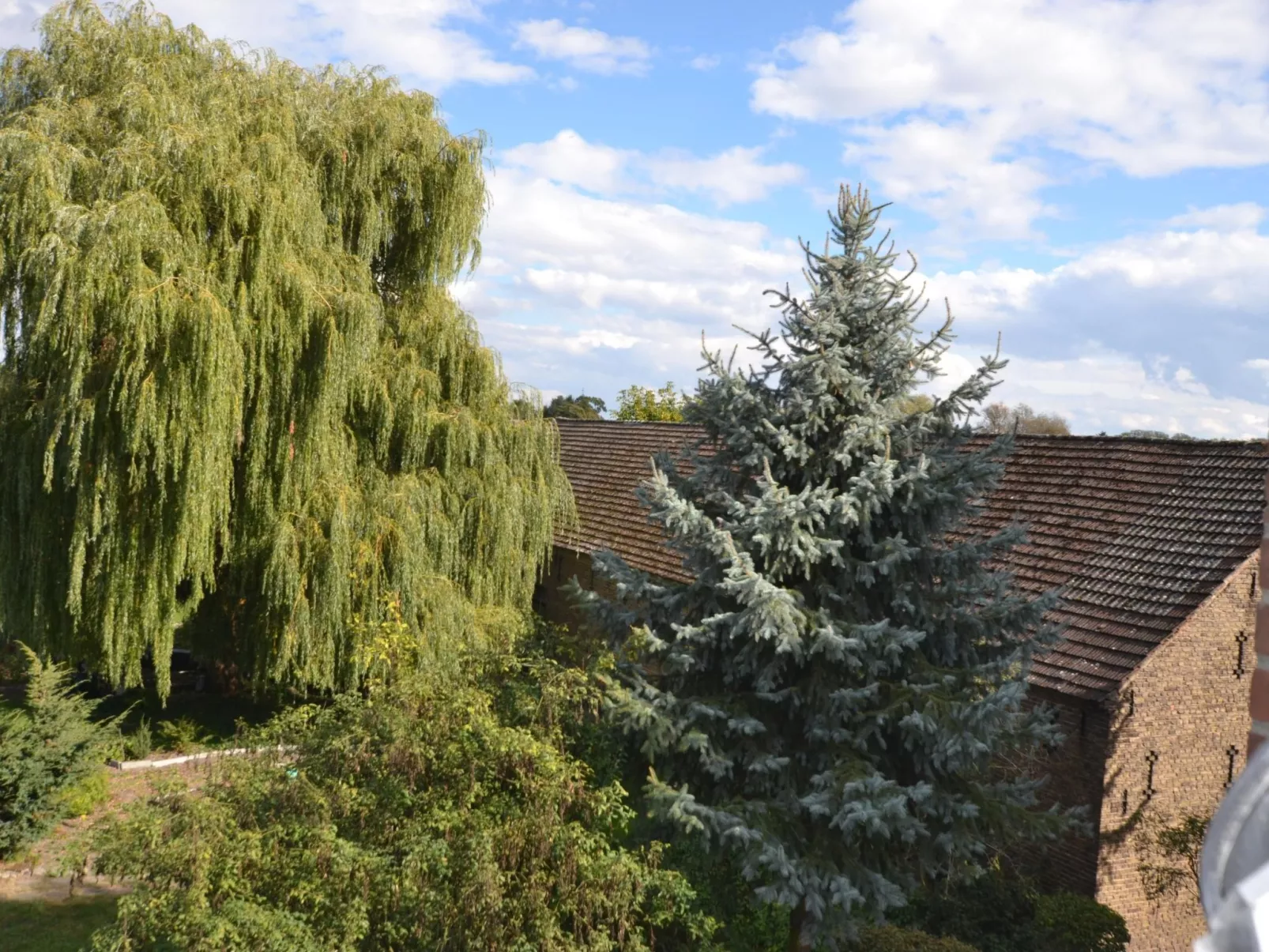 Großzügige Ferienwohnung mit Terrasse-Draußen