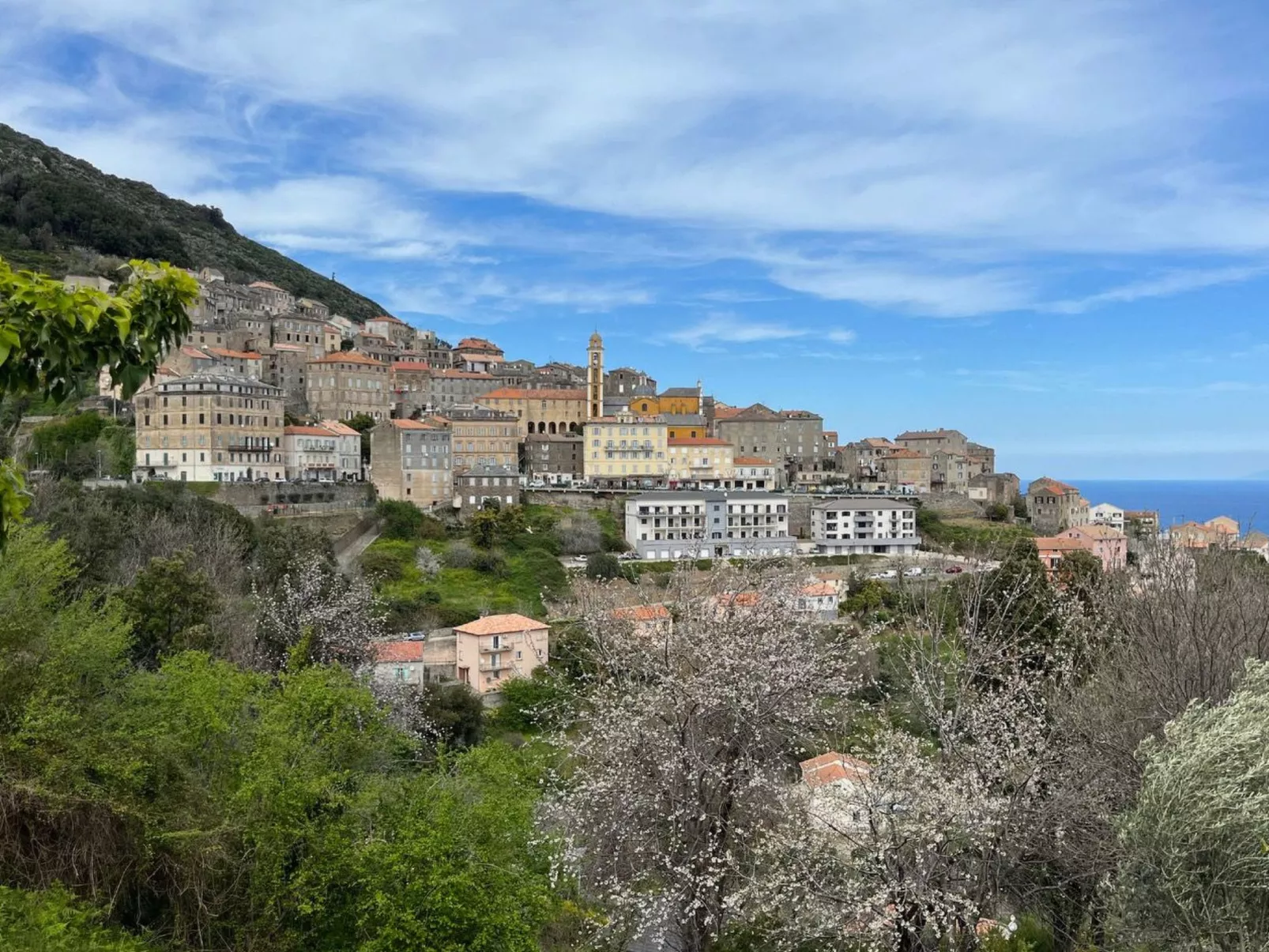 Weingut Punta della Guardia Panorama von Macchia und Meer-Outside