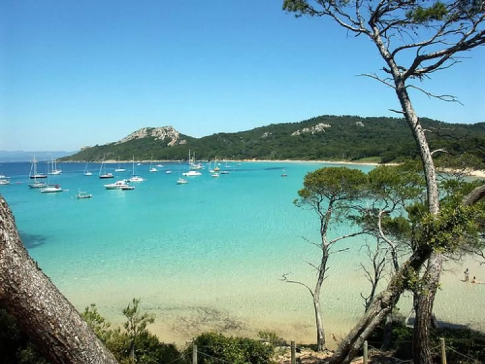 Villa La petite Moujonne in Le Lavandou-Outside