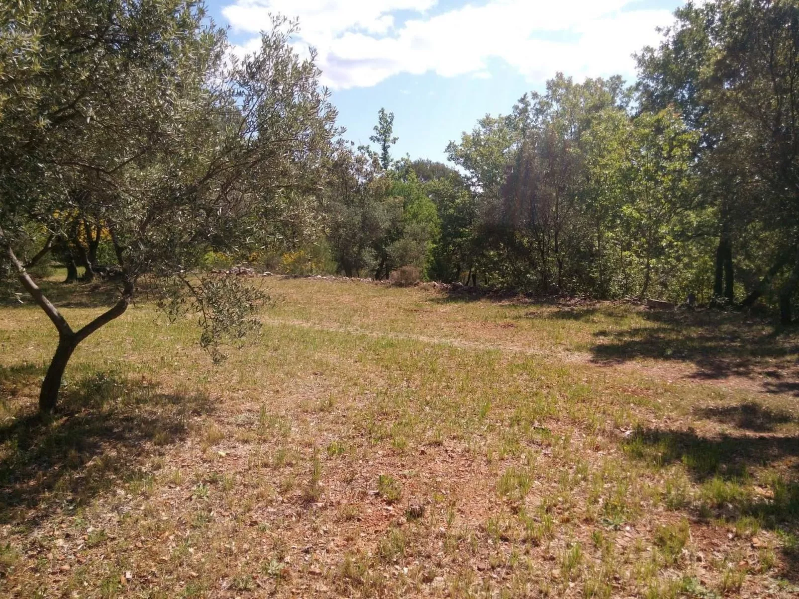 Mit privatem Pool in Cotignac-Outside
