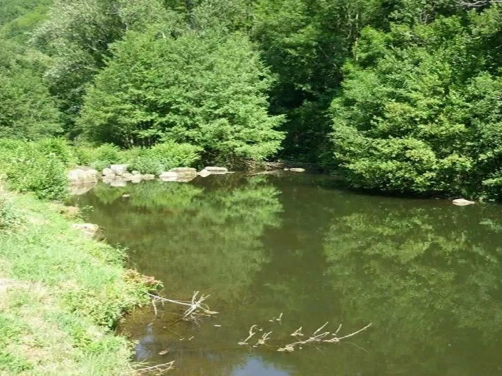 LE HAVRE SAUVAGE-Dehors