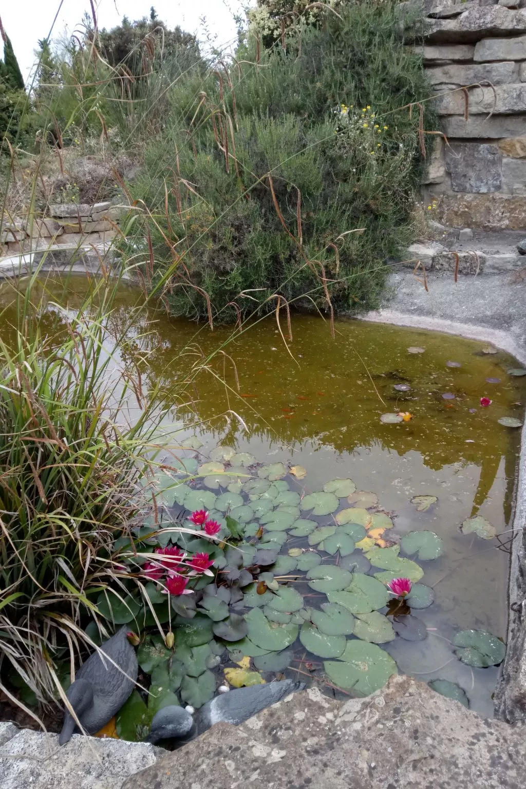 Studio Onida-Outside