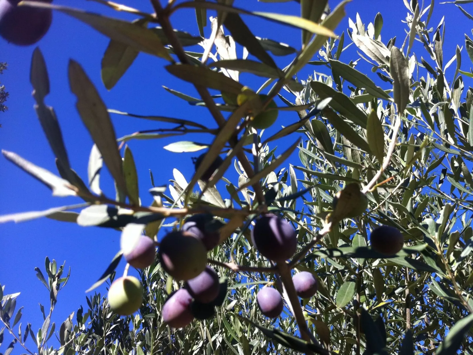 À l'abri du Mistral-Image-tags.info