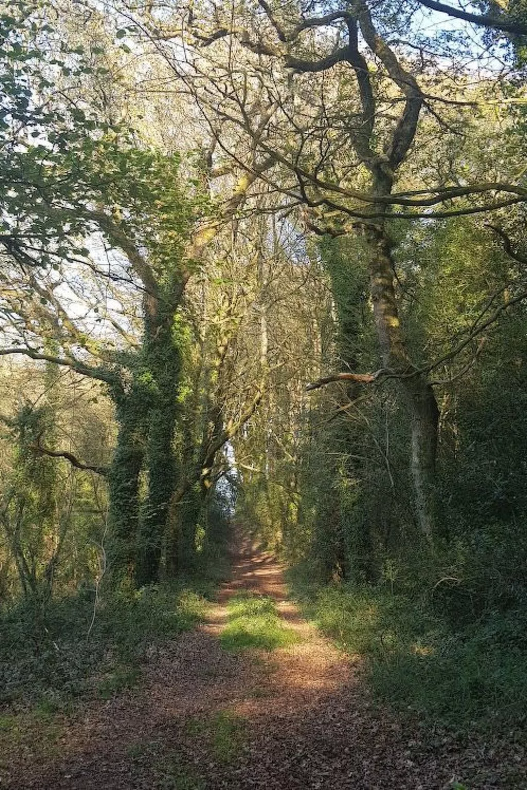 Charmantes großes Cottage zwischen Land und Meer-Image-tags.info