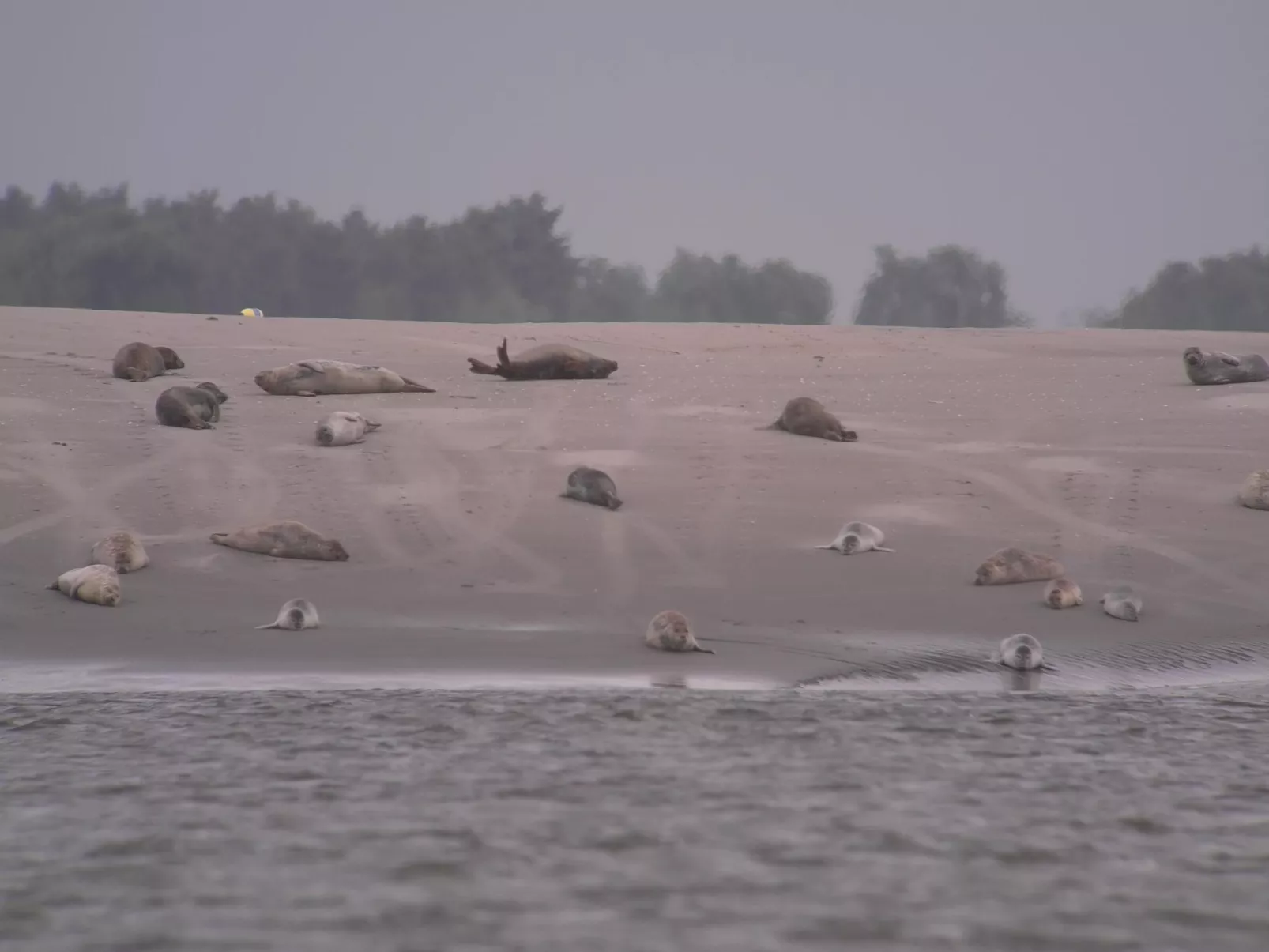 La Bergerie du Festel-Image-tags.info