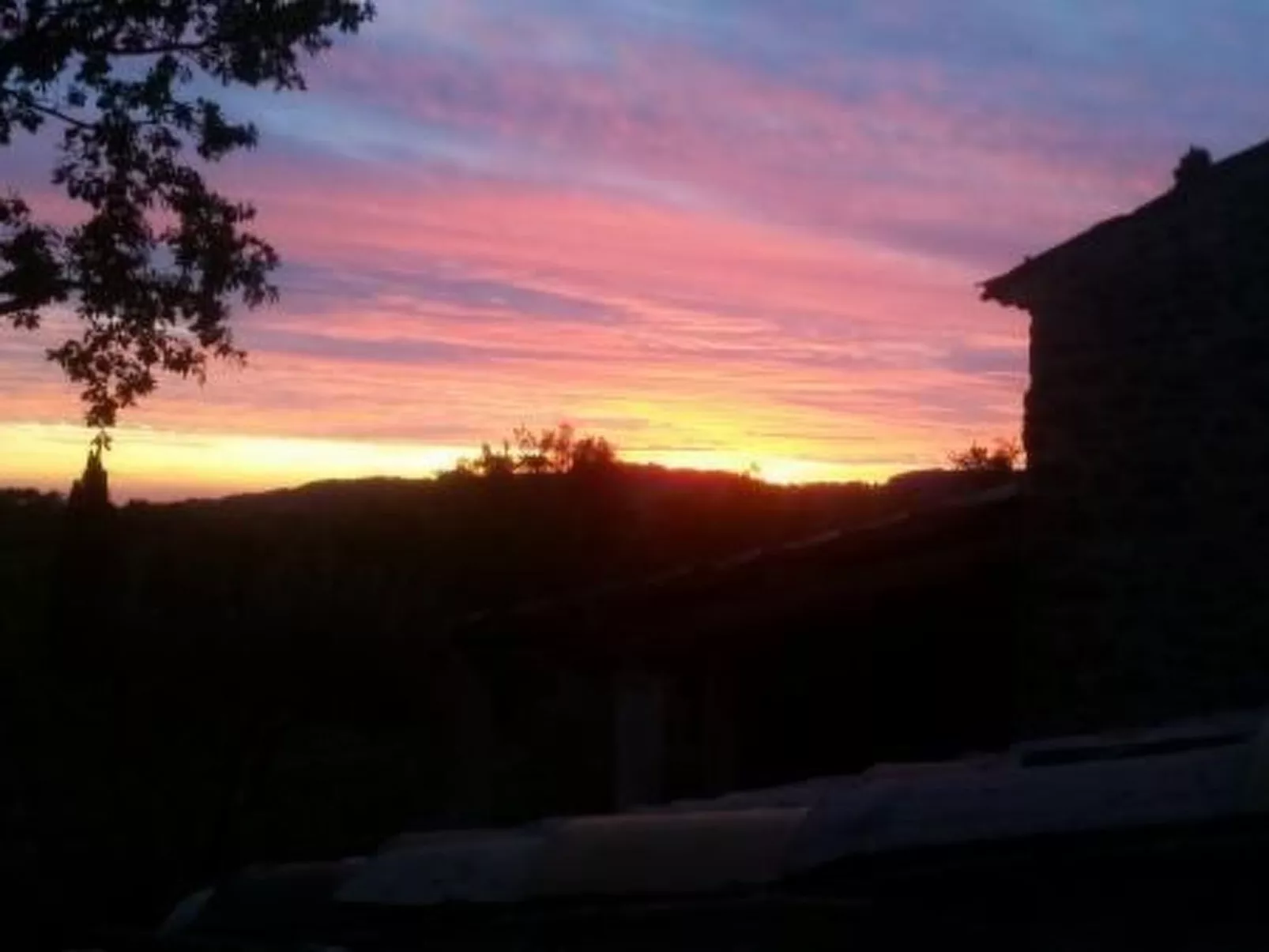 "Haus der Olivenbäume"-Dehors