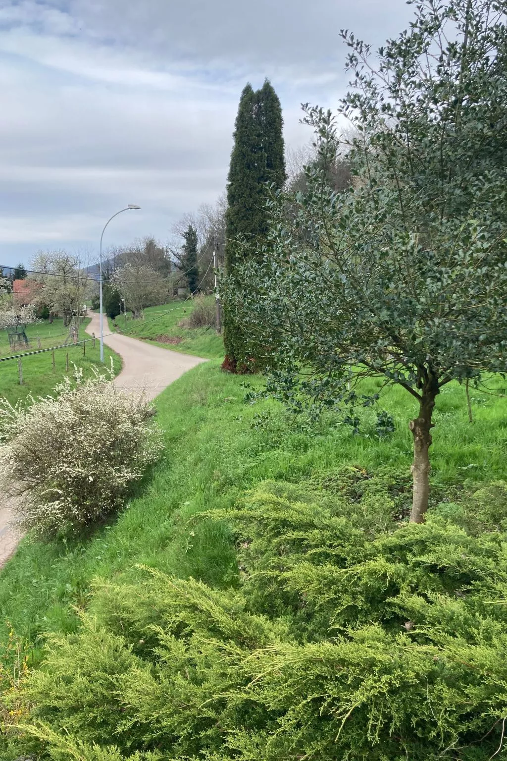 Gite des Cerisiers-Outside