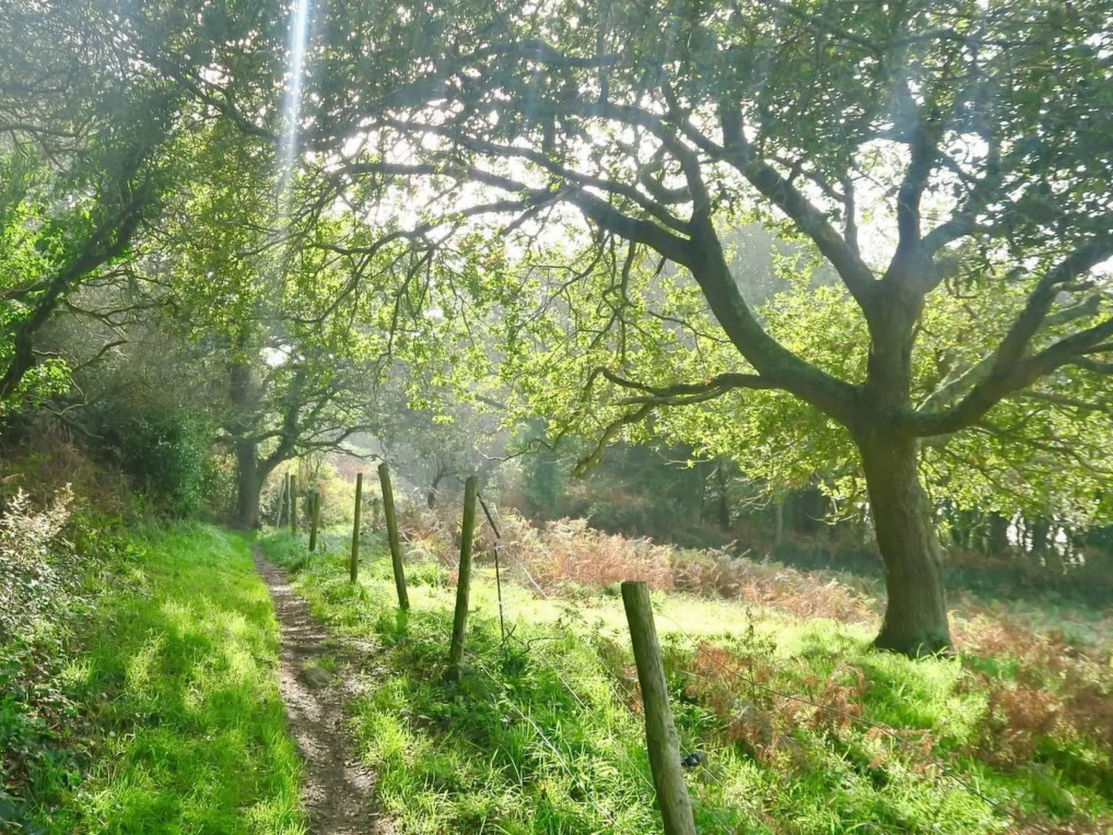 Gîte de Kerberso in Pléhédel-Draußen