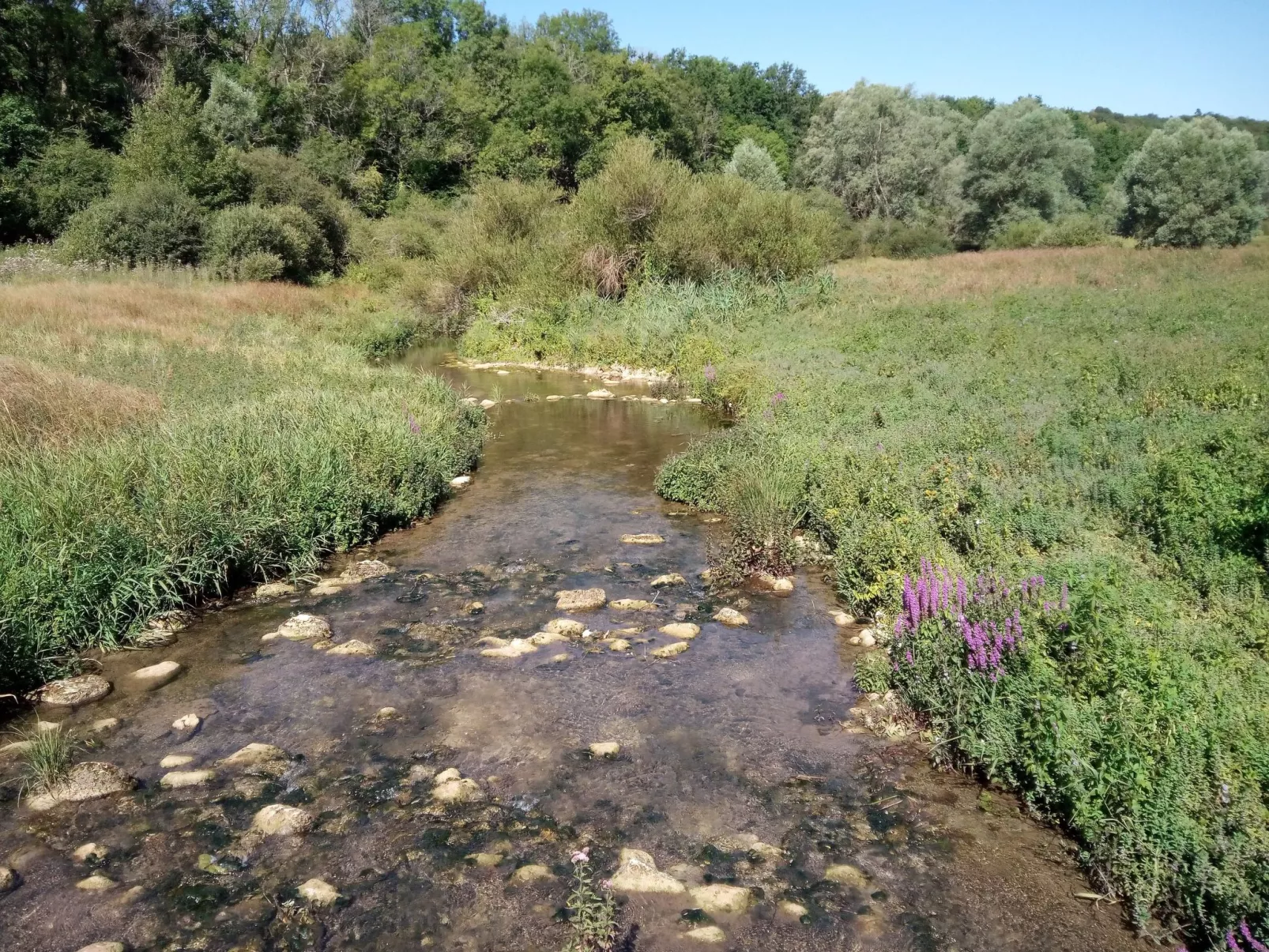 In Celles-En-Bassigny  umzäunter Garten-Dehors