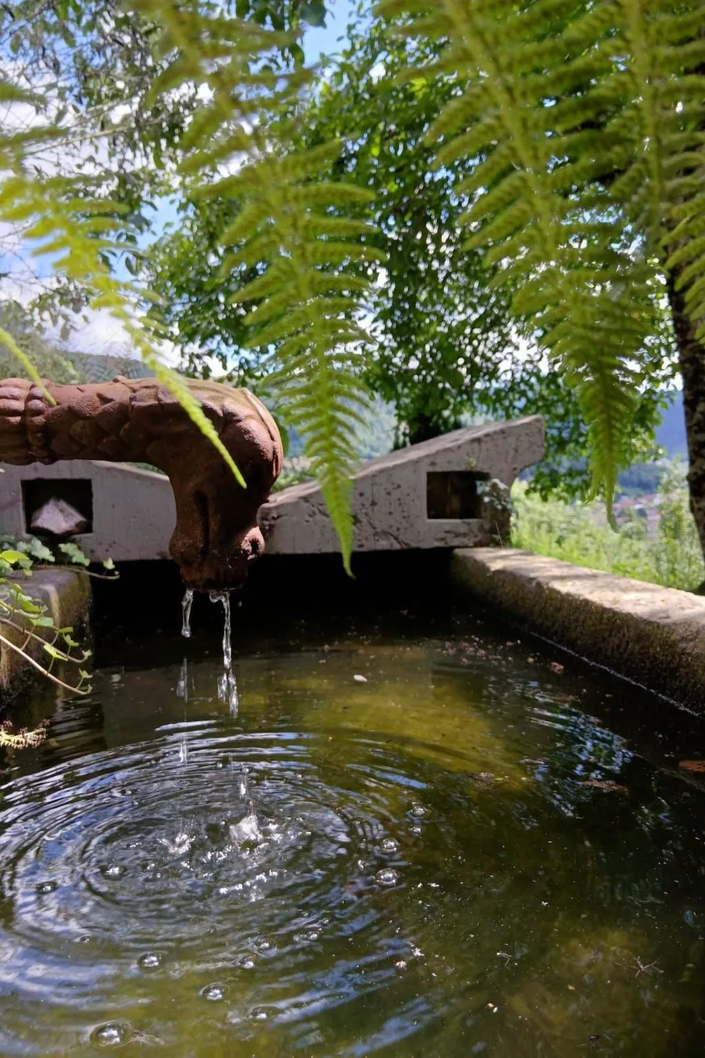 In Ventron mit eingezäuntem Garten-Outside