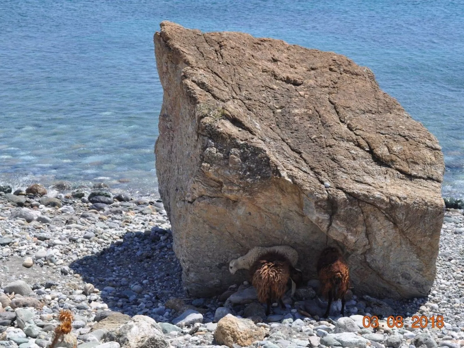 Mit Privatpool für 12 Personen in Agia Galini, Kreta-Image-tags.info