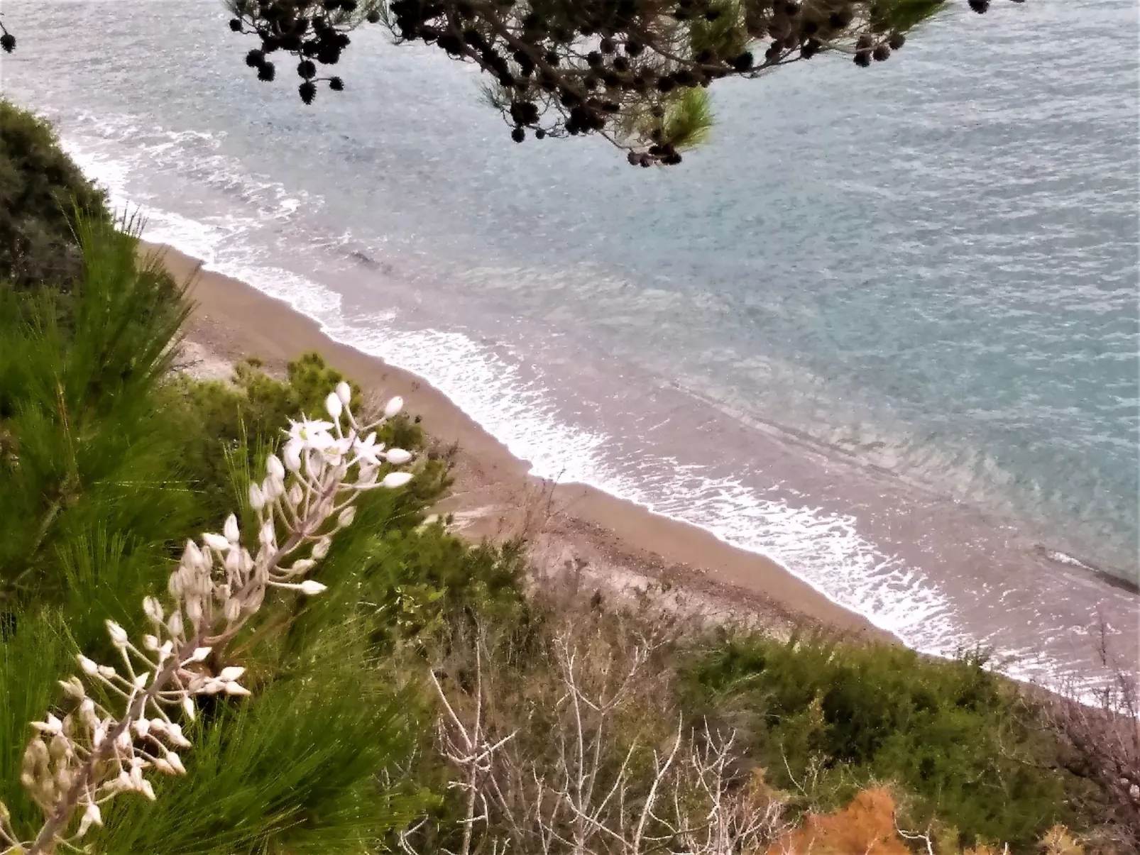 Wohnung mit Gartenblick, Kreta, Ierapetra-Dehors
