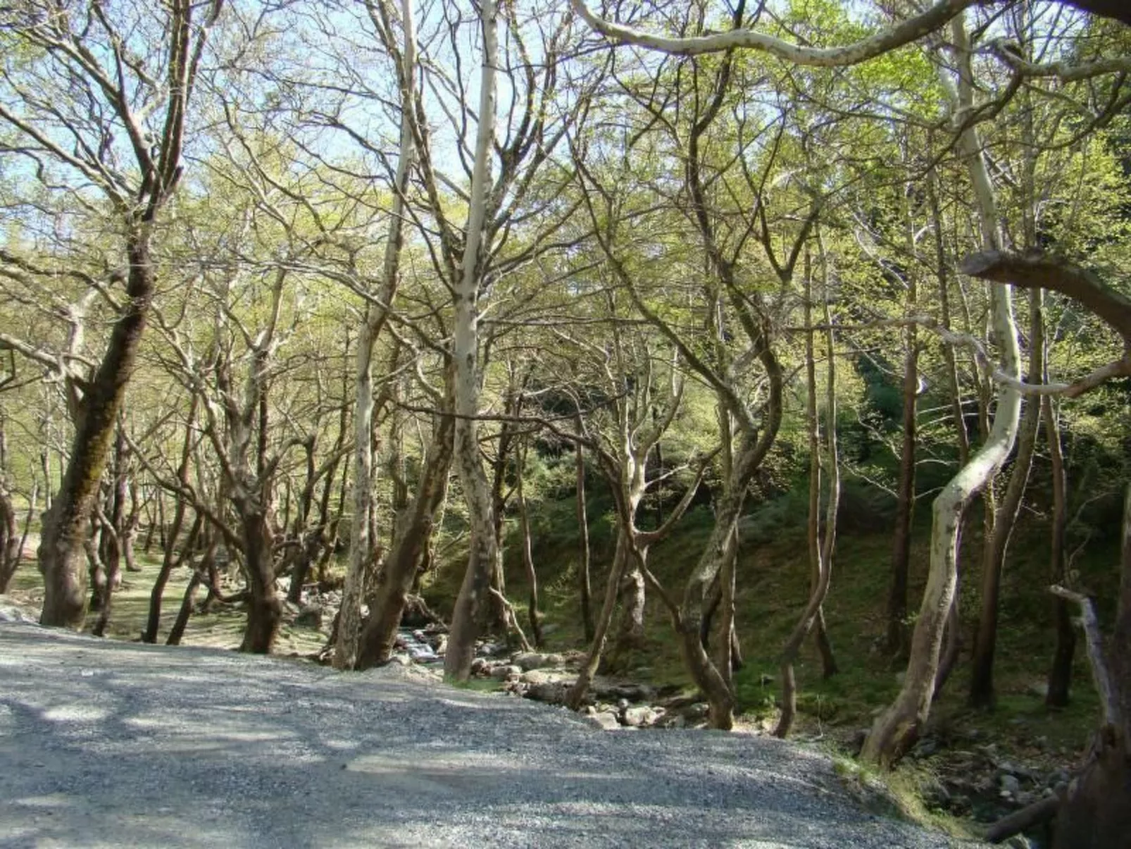 Studio mit Garten-Outside