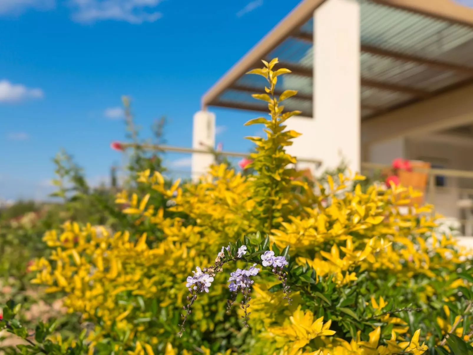 Ferienvilla auf einem privaten und sicheren Grundstück-Draußen