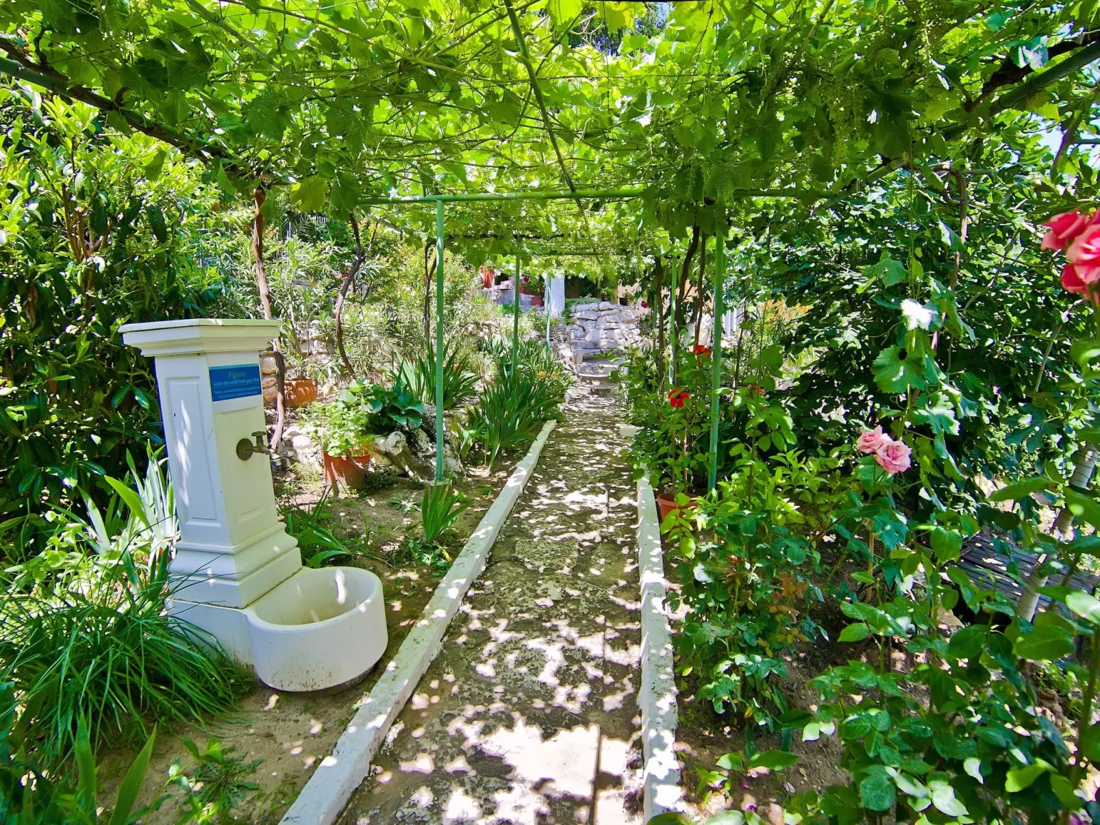 Mit Blick auf das Wasser-Draußen