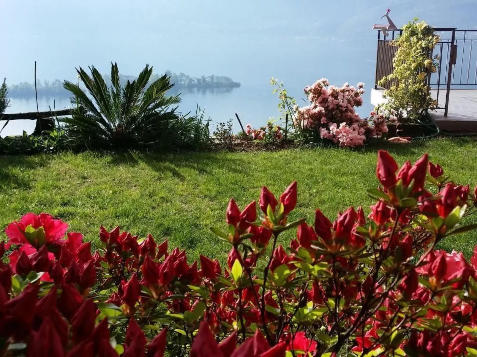 Casa Argo-Image-tags.info