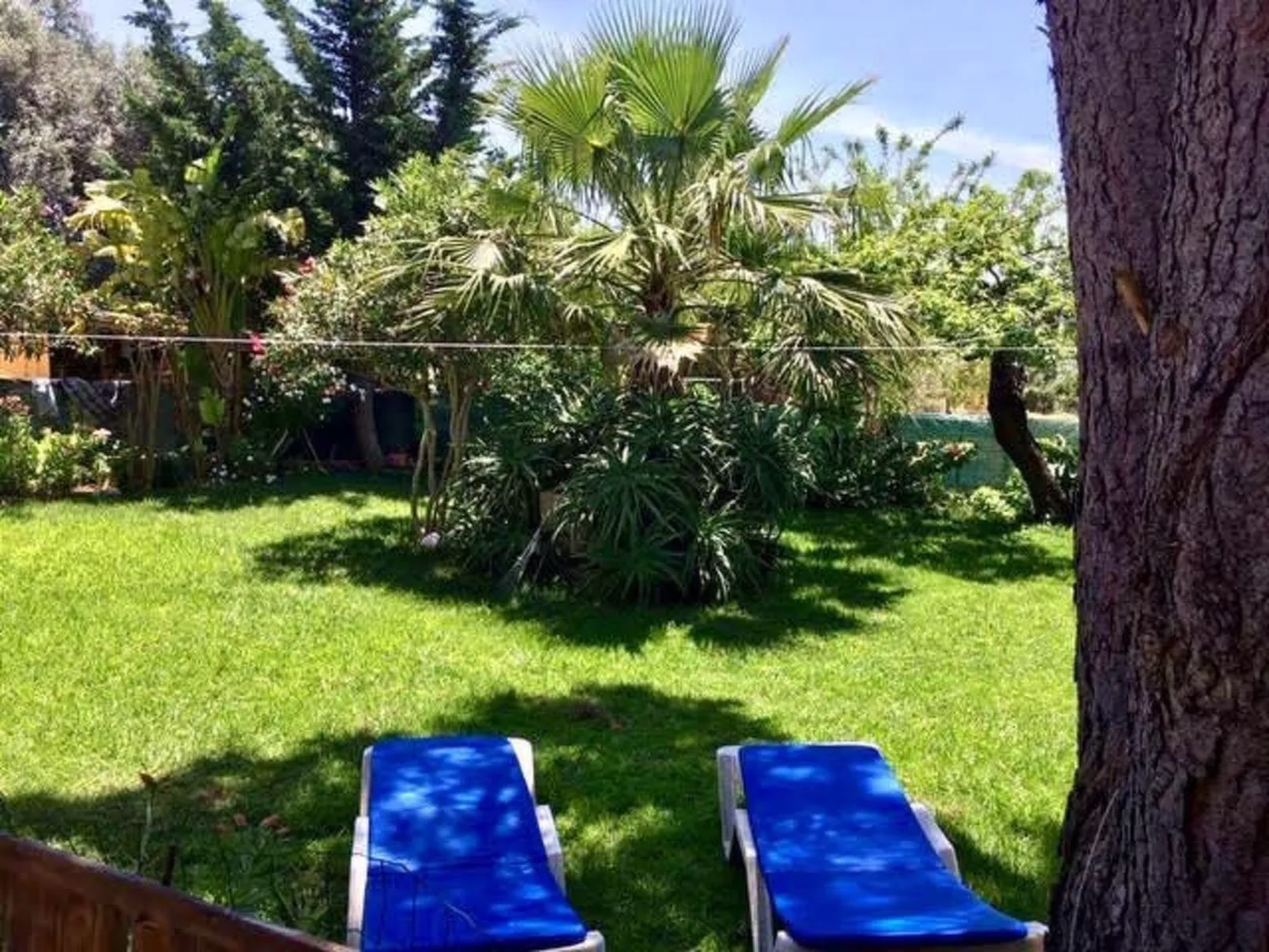 Für 4 Personen in Algoz, Algarve-Image-tags.info