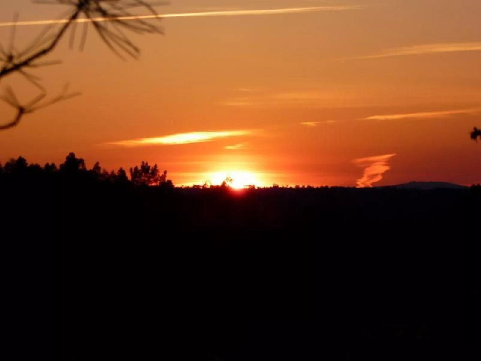 Mit Sonnenterrasse und großem Garten-Image-tags.info