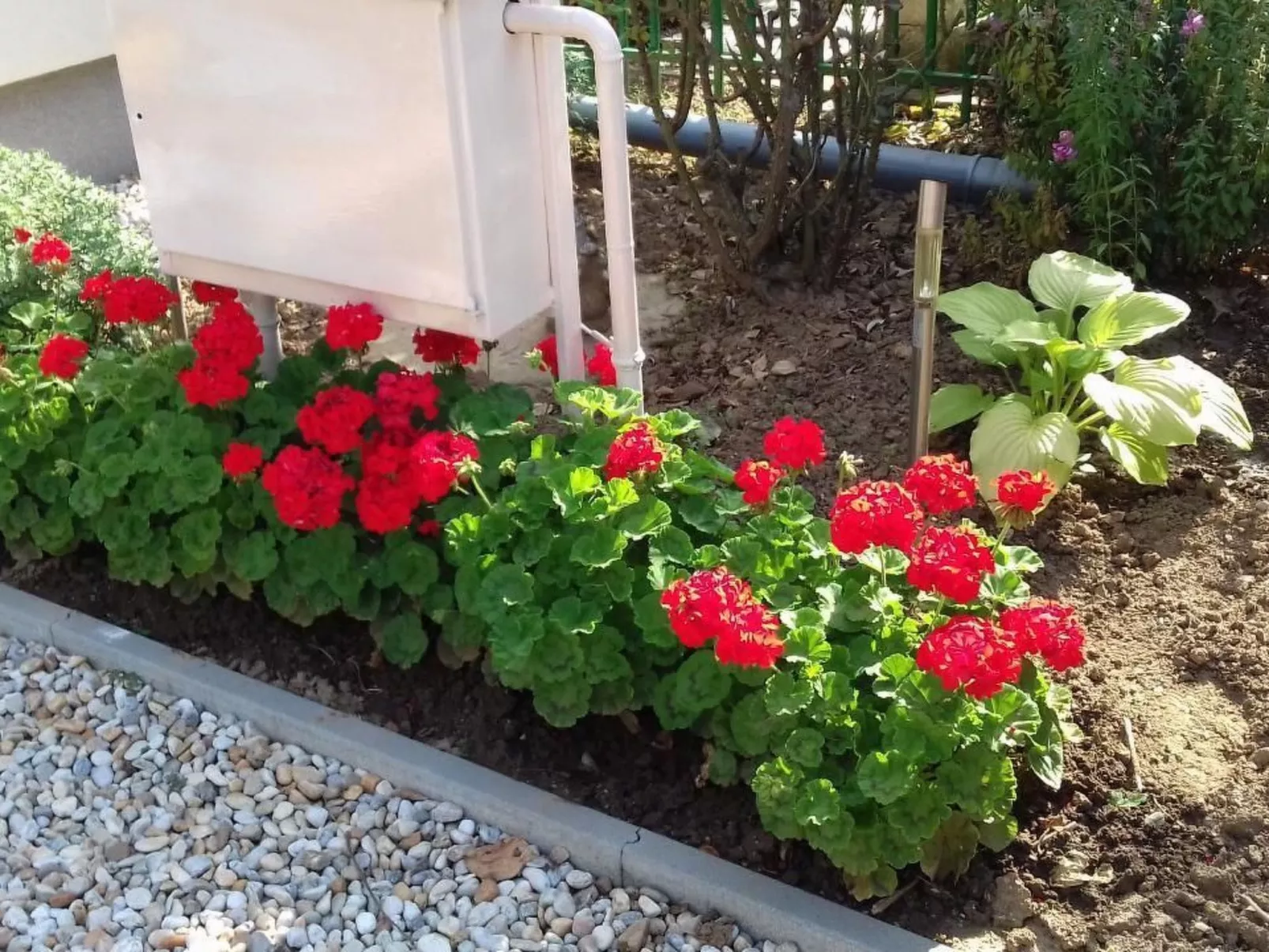 Klimatisiertes Ferienhaus in Bükfürdö mit Garten-Dehors