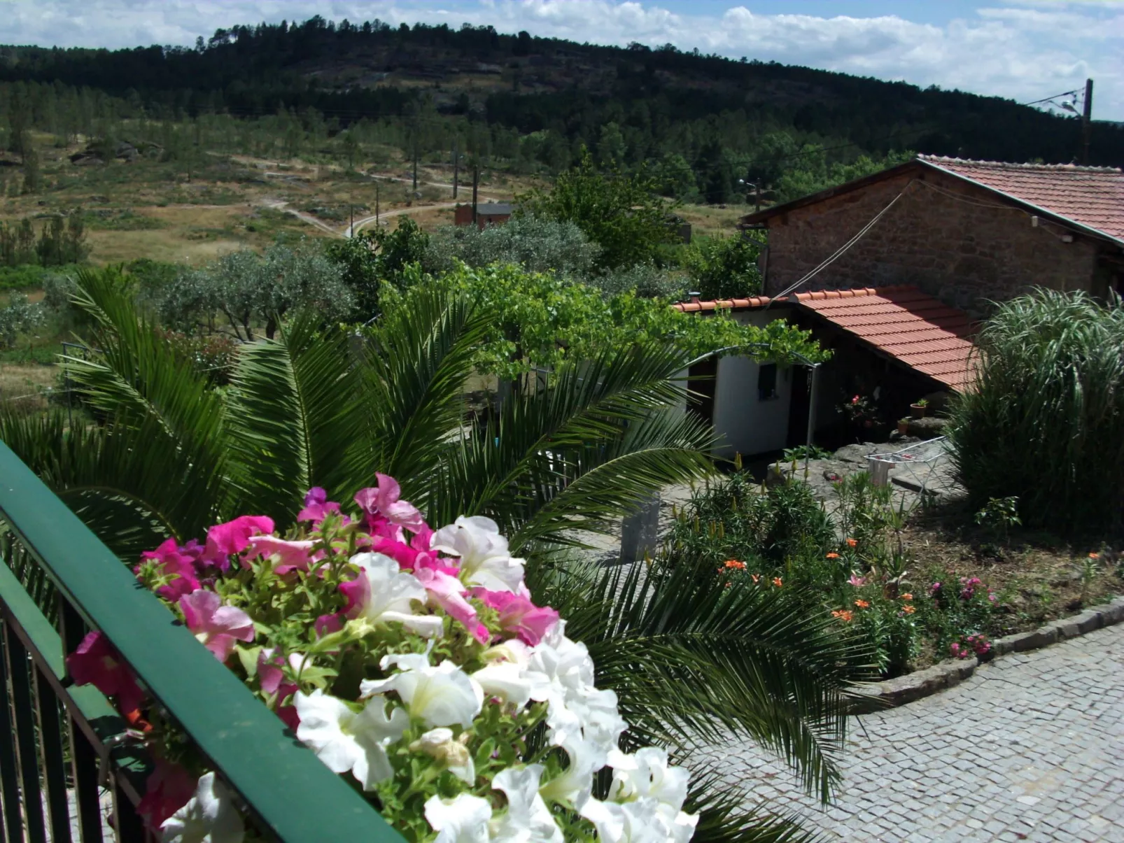 Ferien auf dem Bauernhof mit Weinberg-Outside