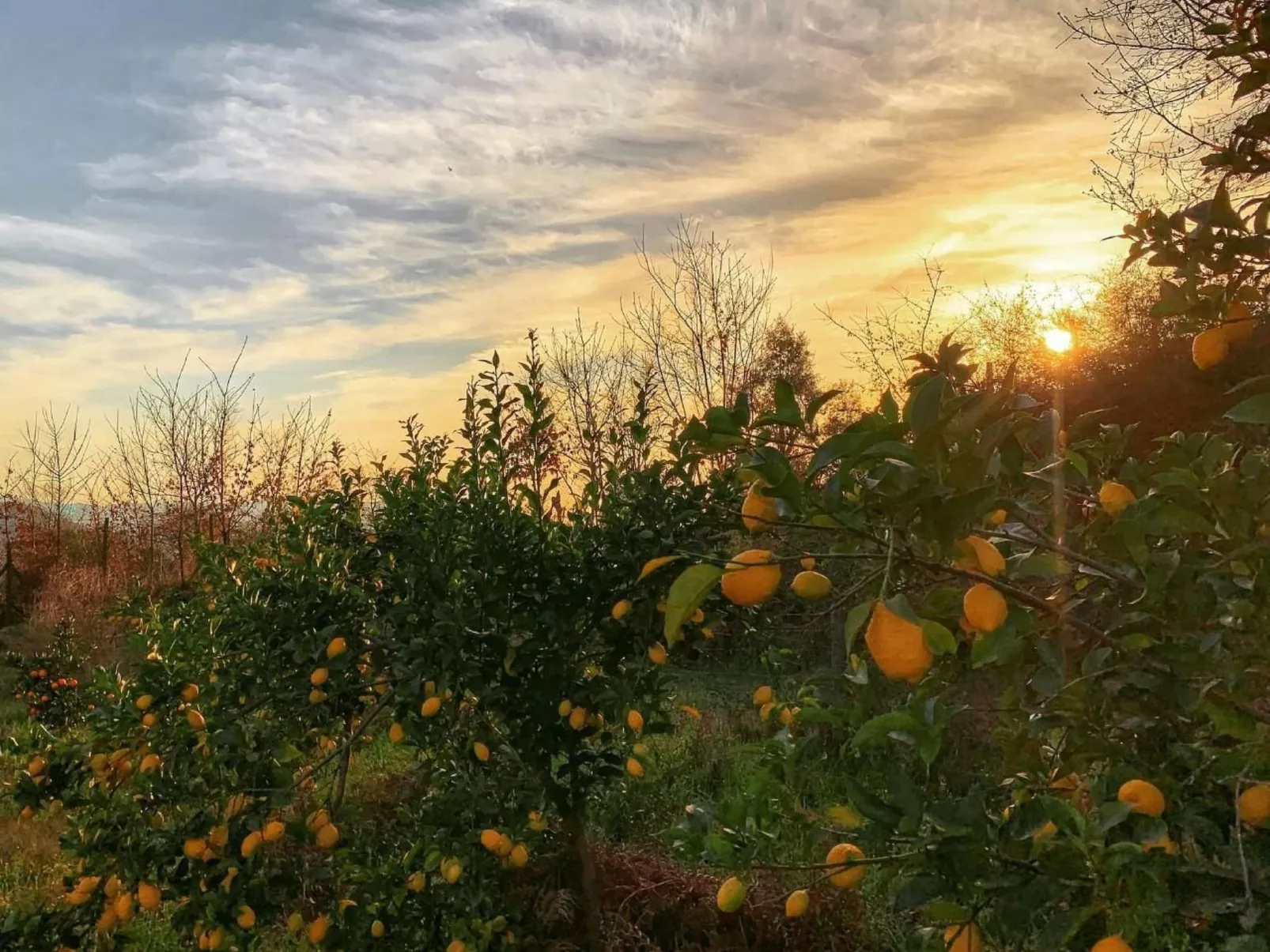 Mit Blick auf das Wasser-Dehors