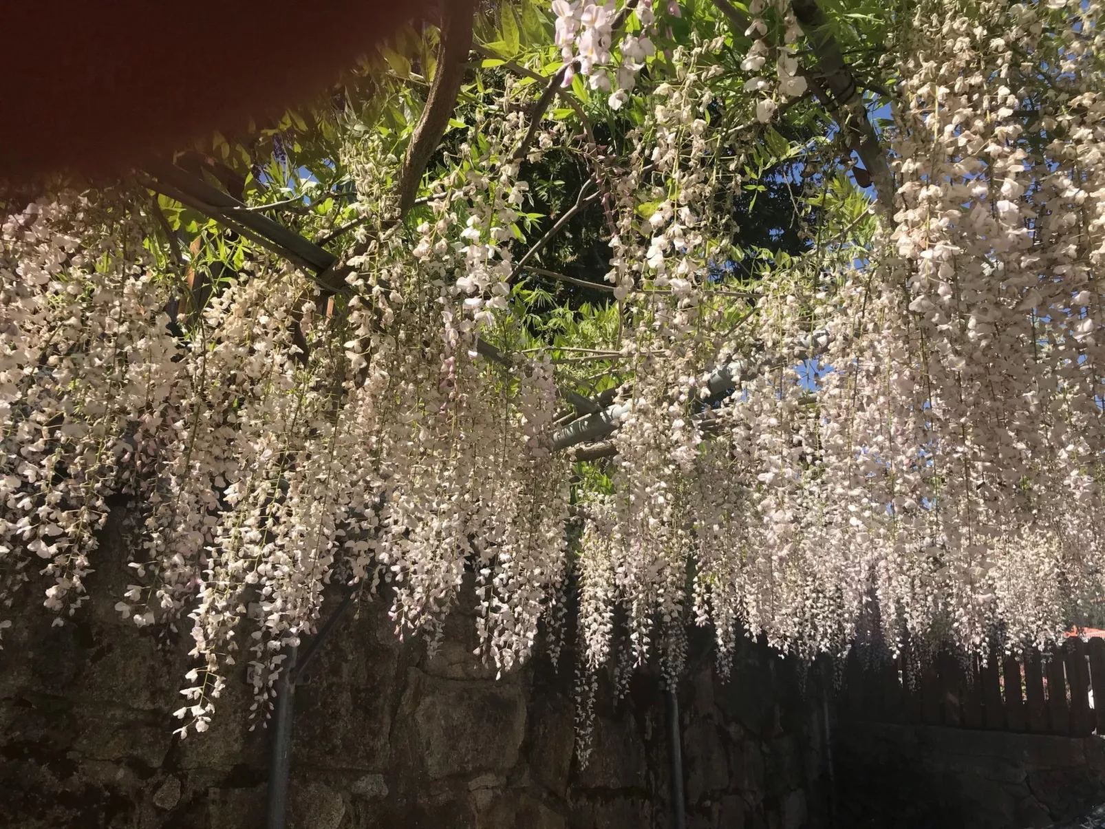 Chalet "Casas das Olas 4"-Dehors