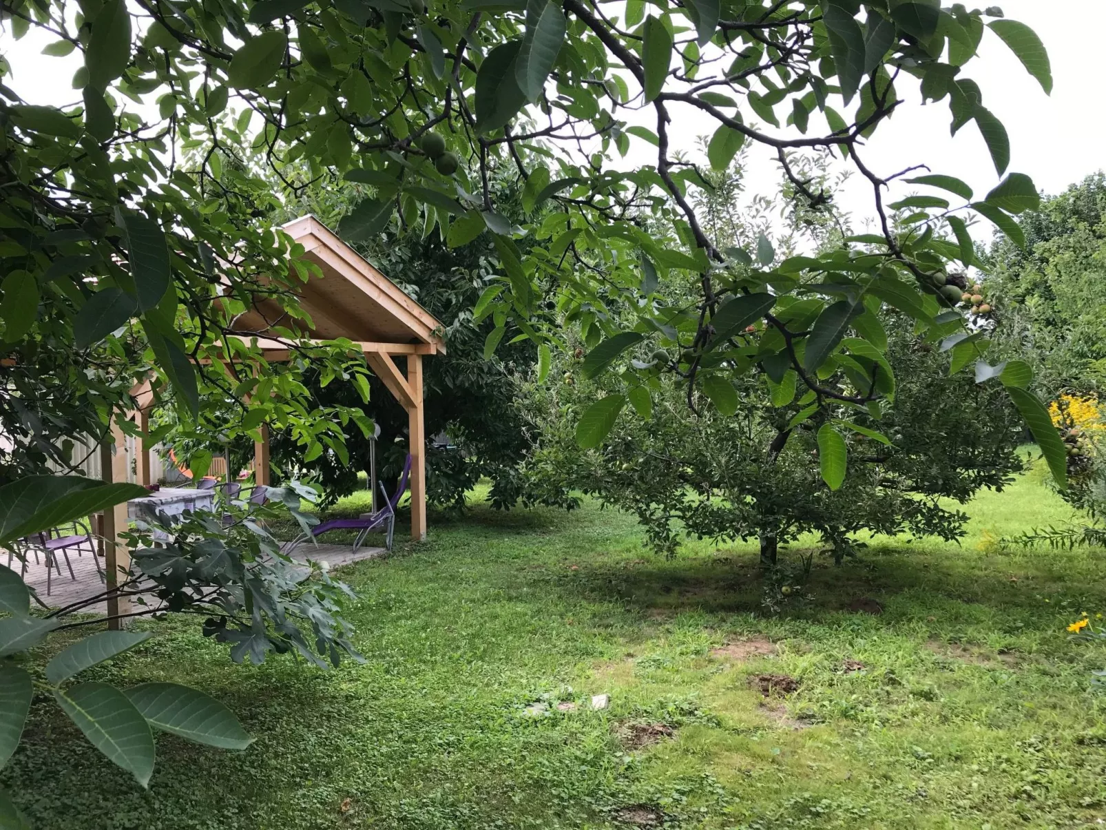 Hungarium am Platte-Dehors