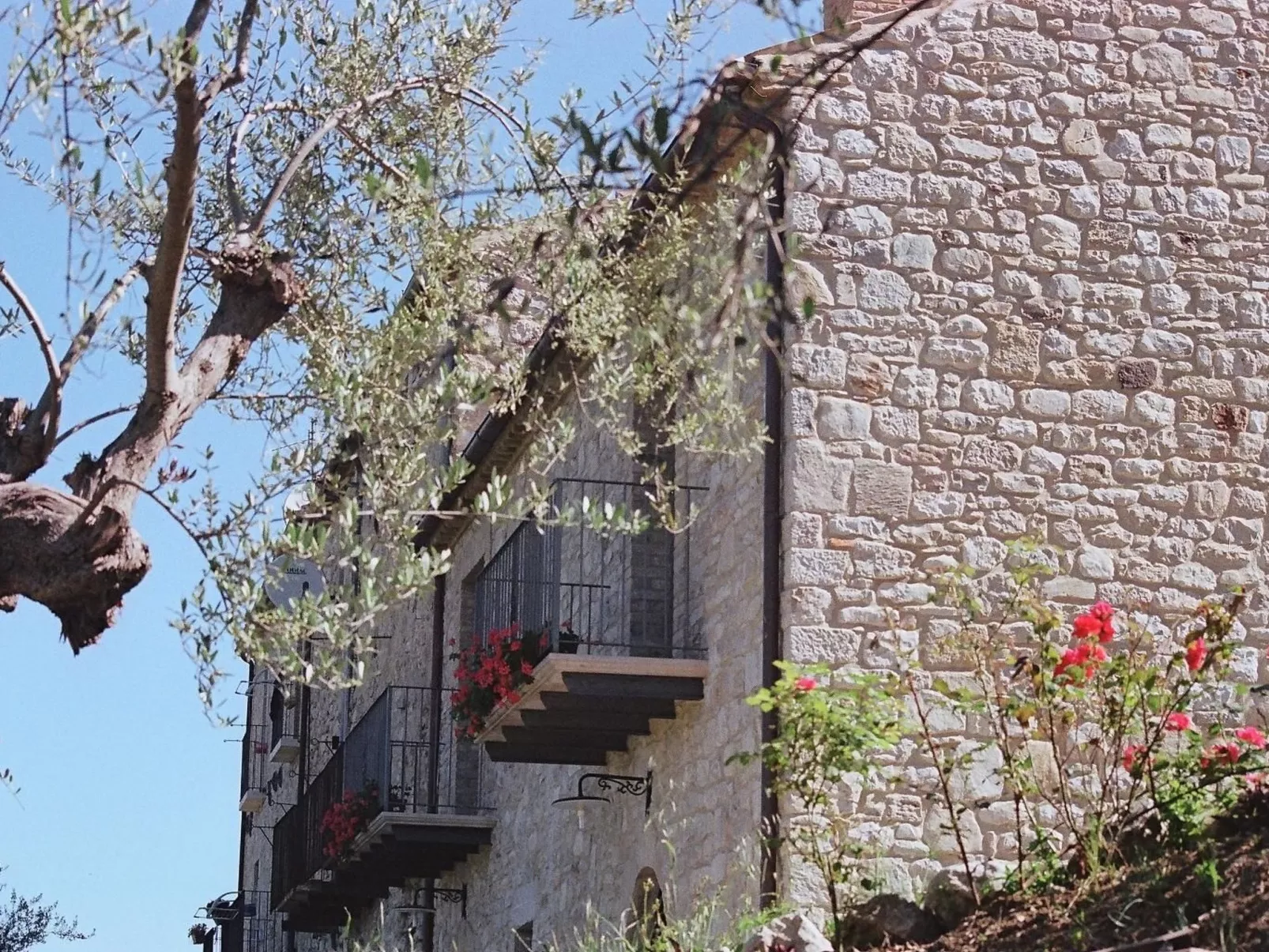 Das Maulbeerbaum-Apartment-Outside