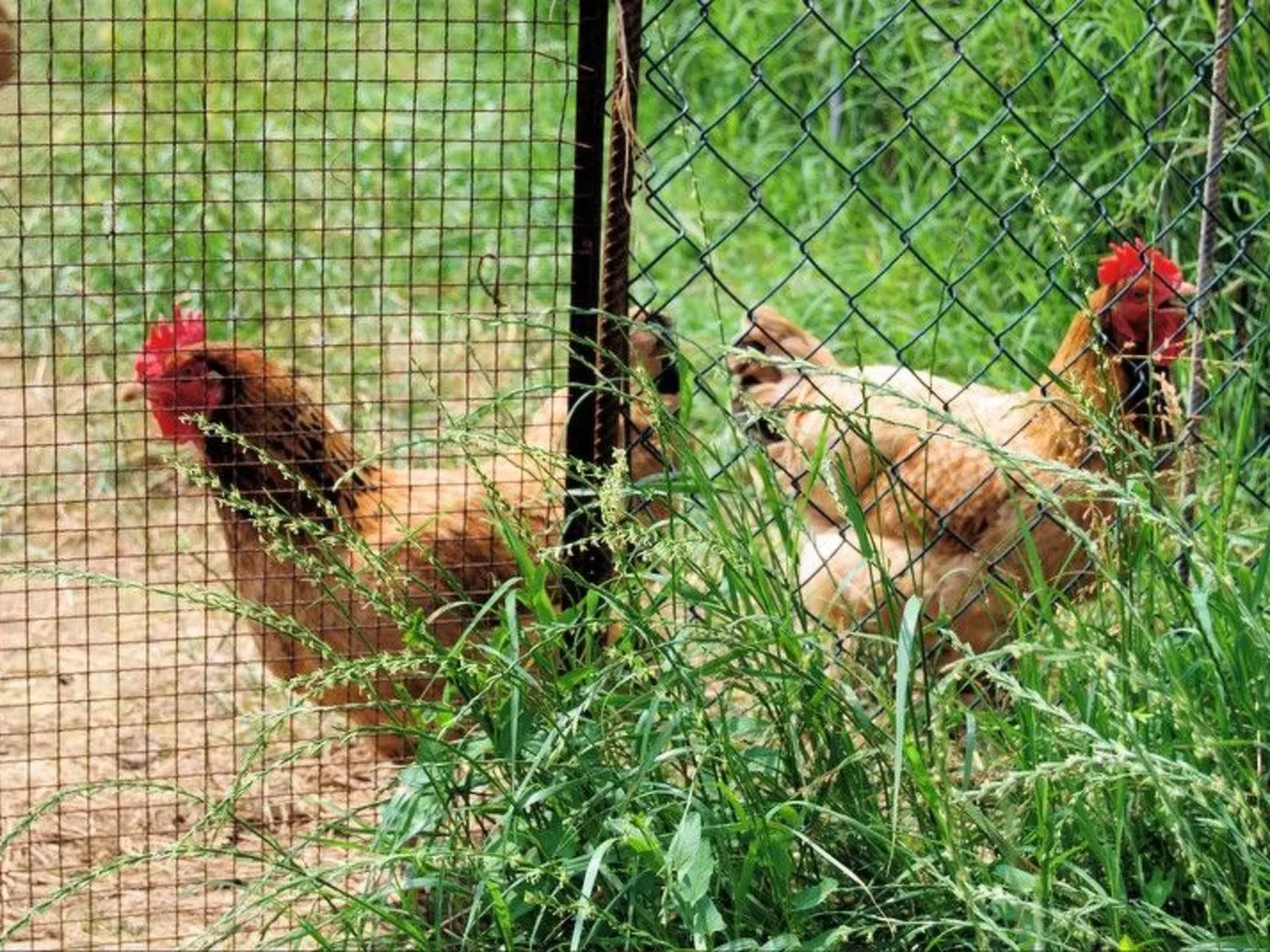Schöne Wohnung in Venedig mit Garten und Grill-Inside