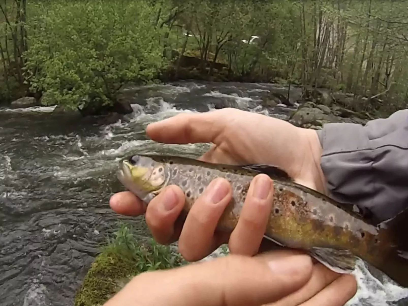 Wassermühle am Fluss-Image-tags.info