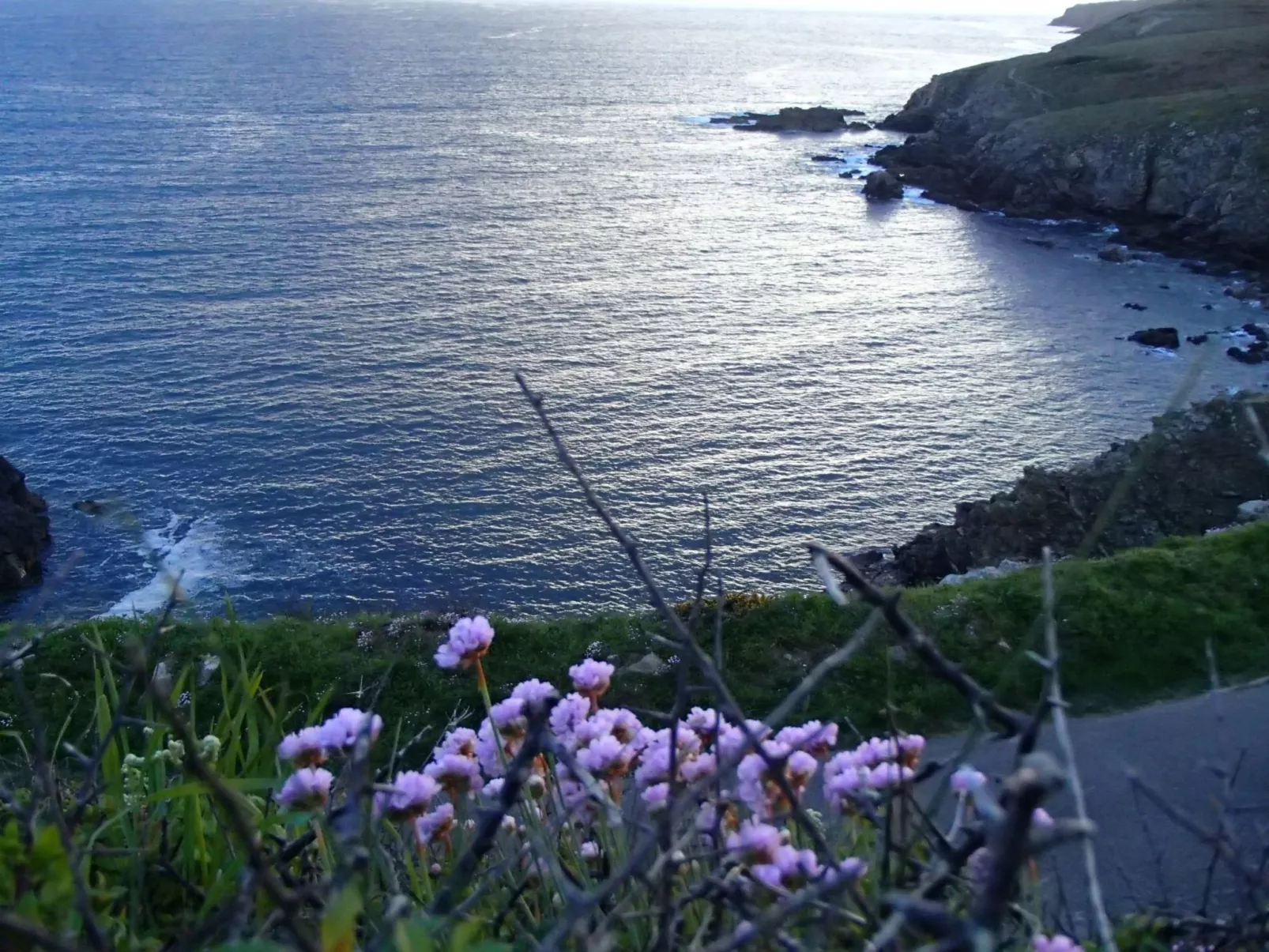 Chez joséphine frisch renoviertes bretonisches Haus-Draußen
